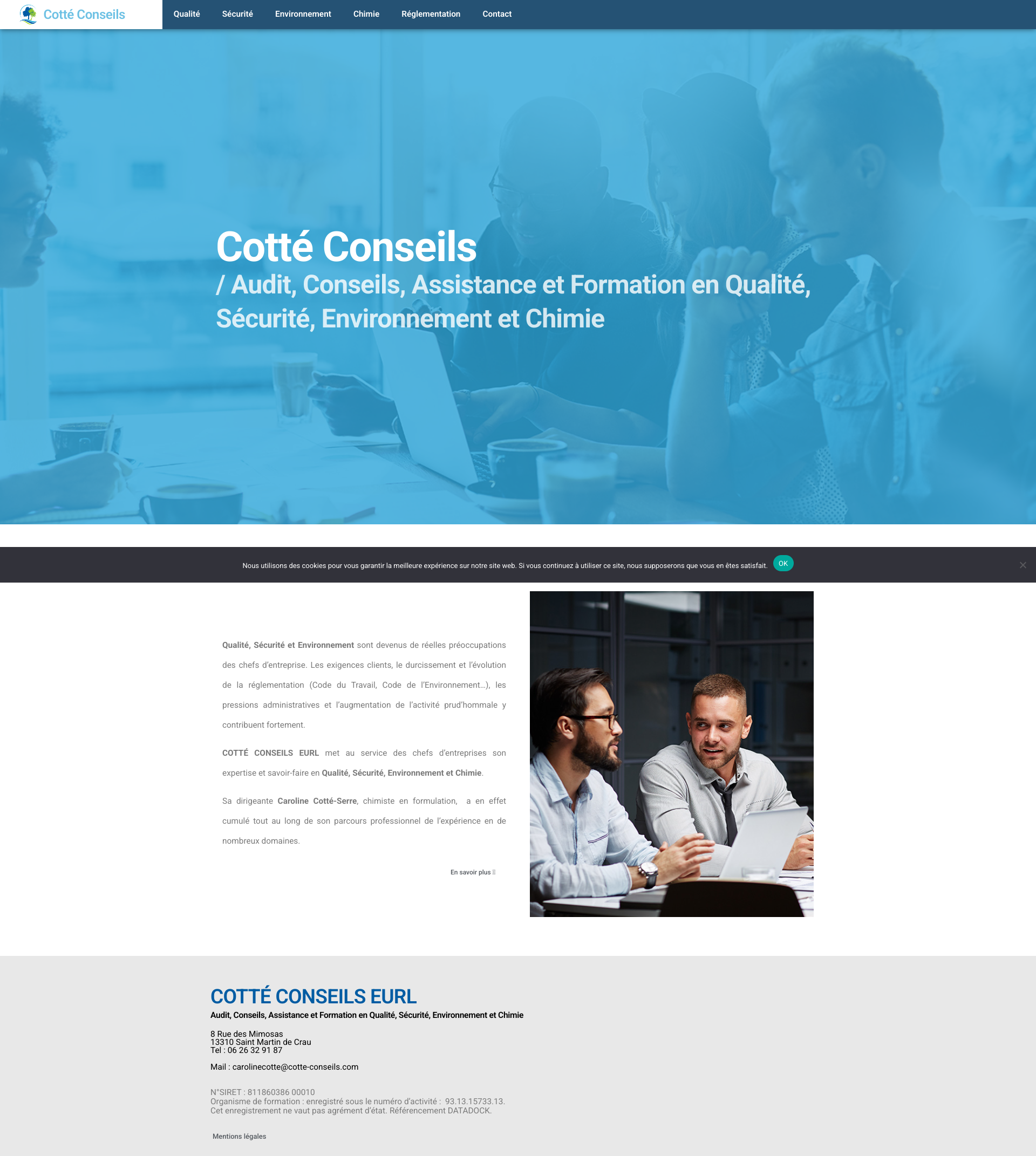 Aperçu du site