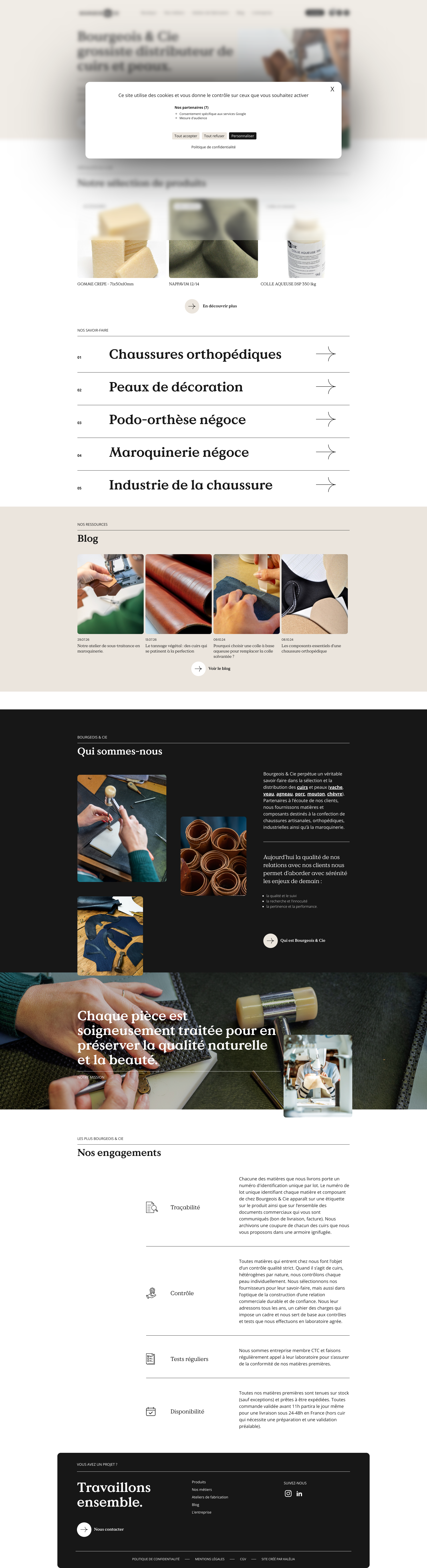 Aperçu du site