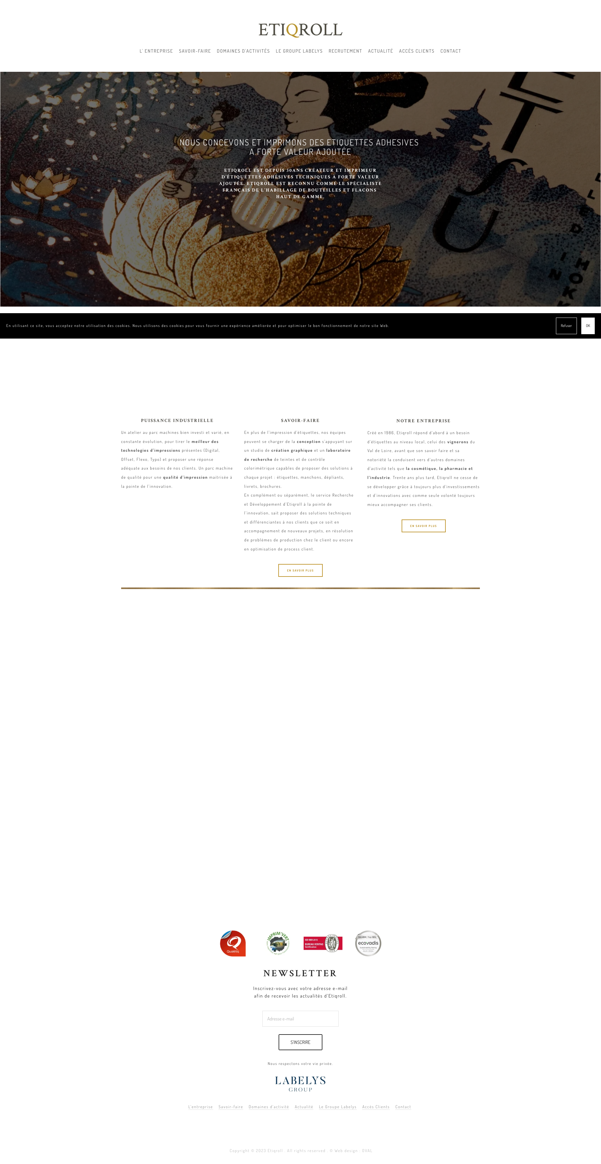 Aperçu du site