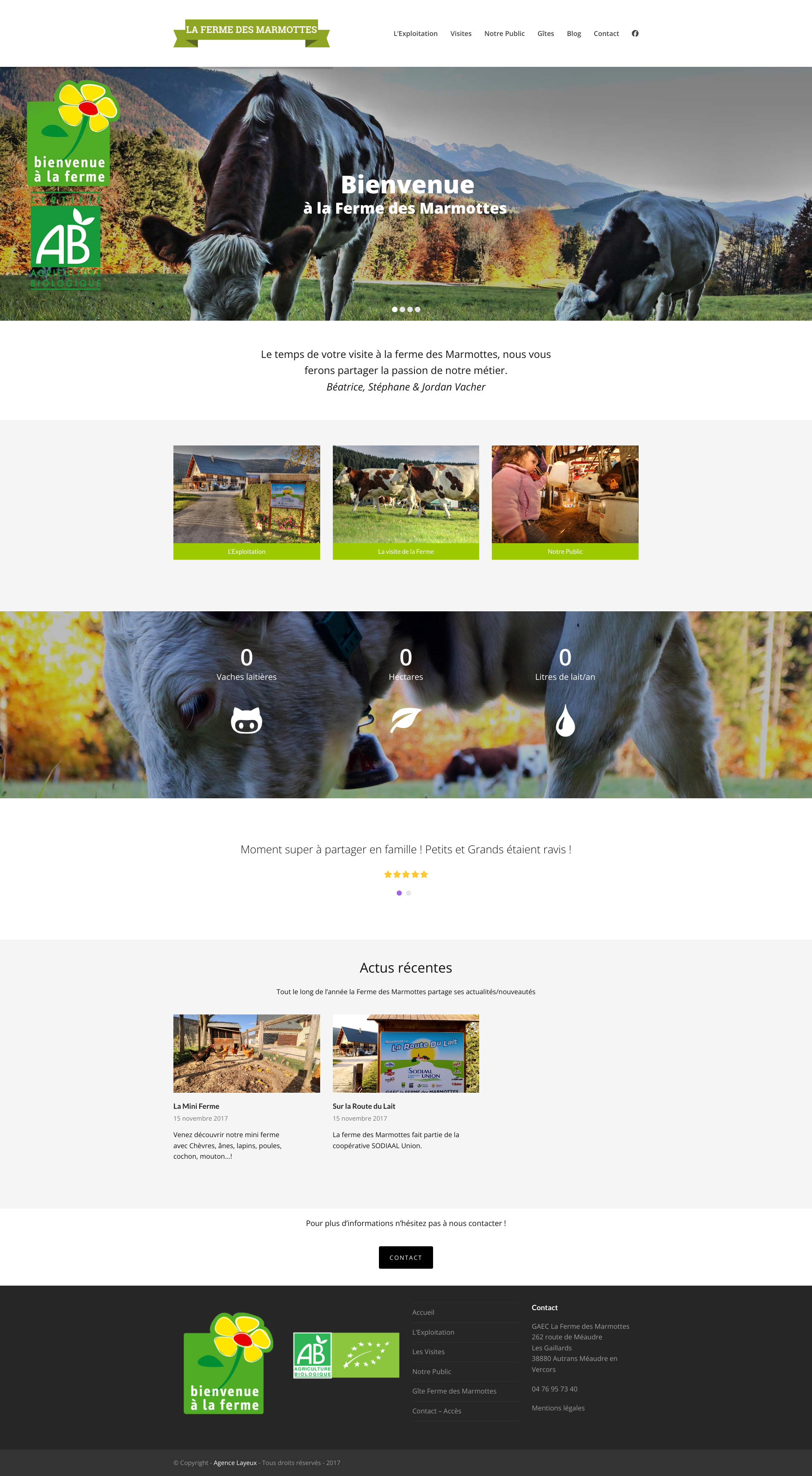 Aperçu du site