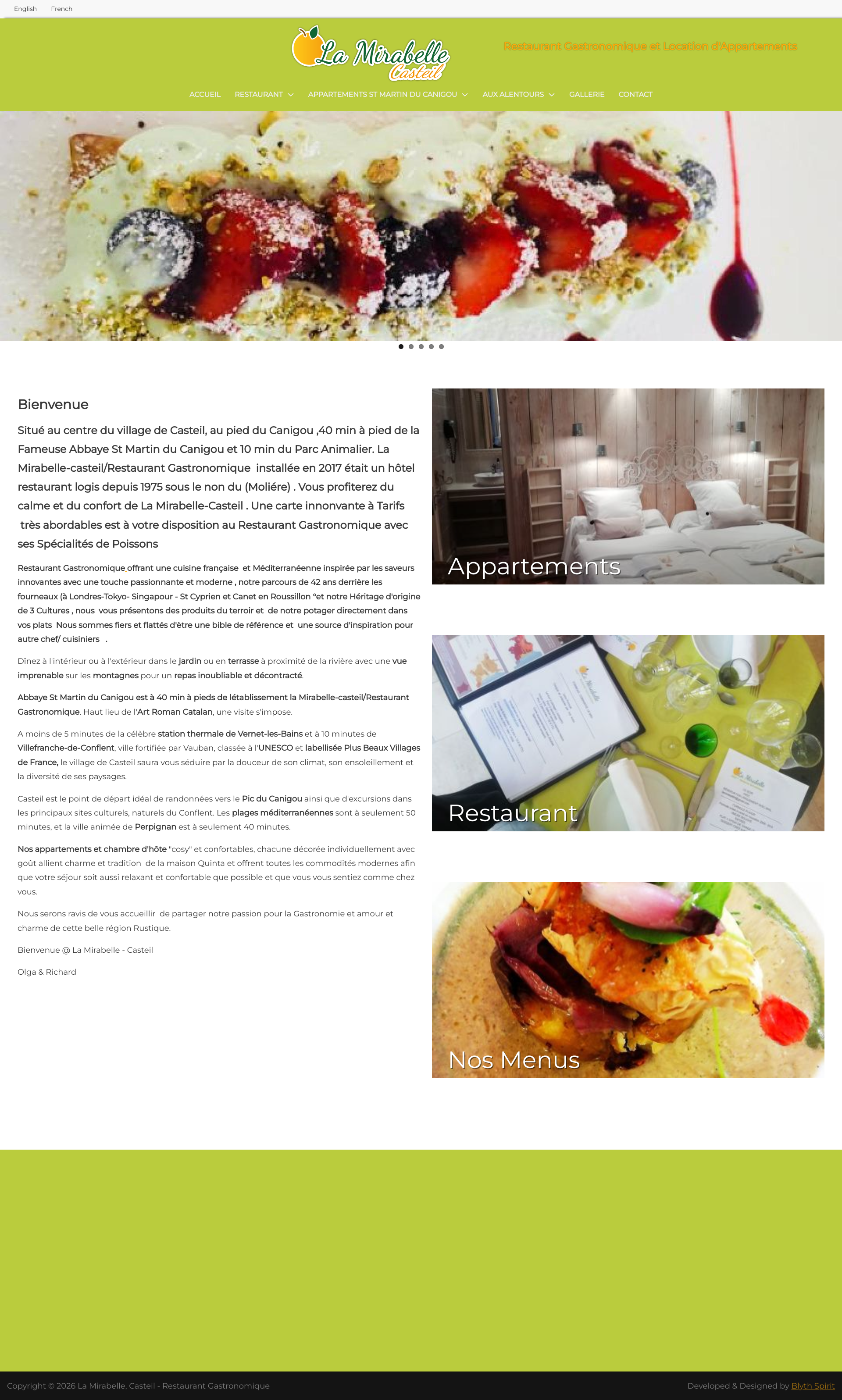 Aperçu du site