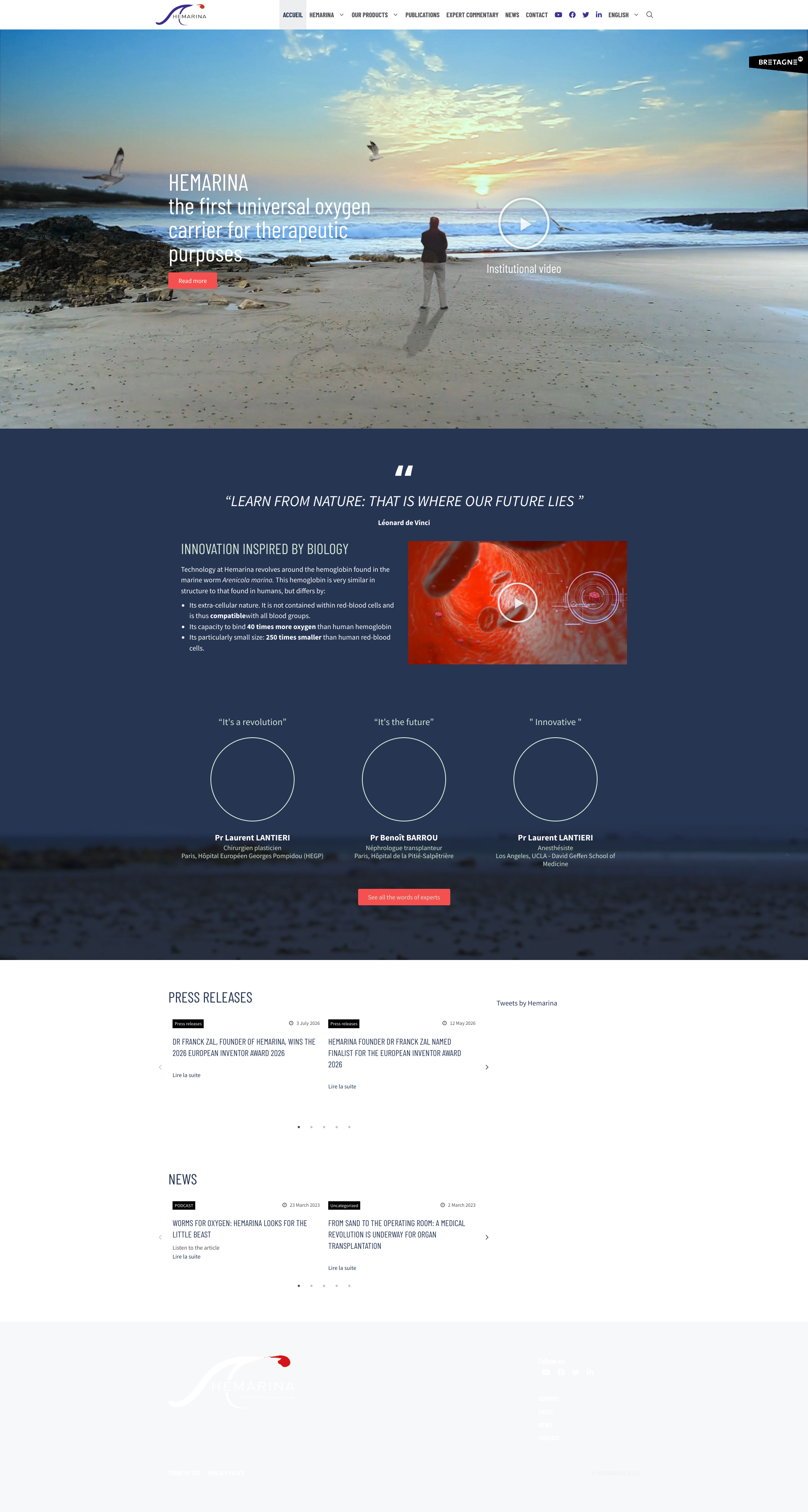 Aperçu du site