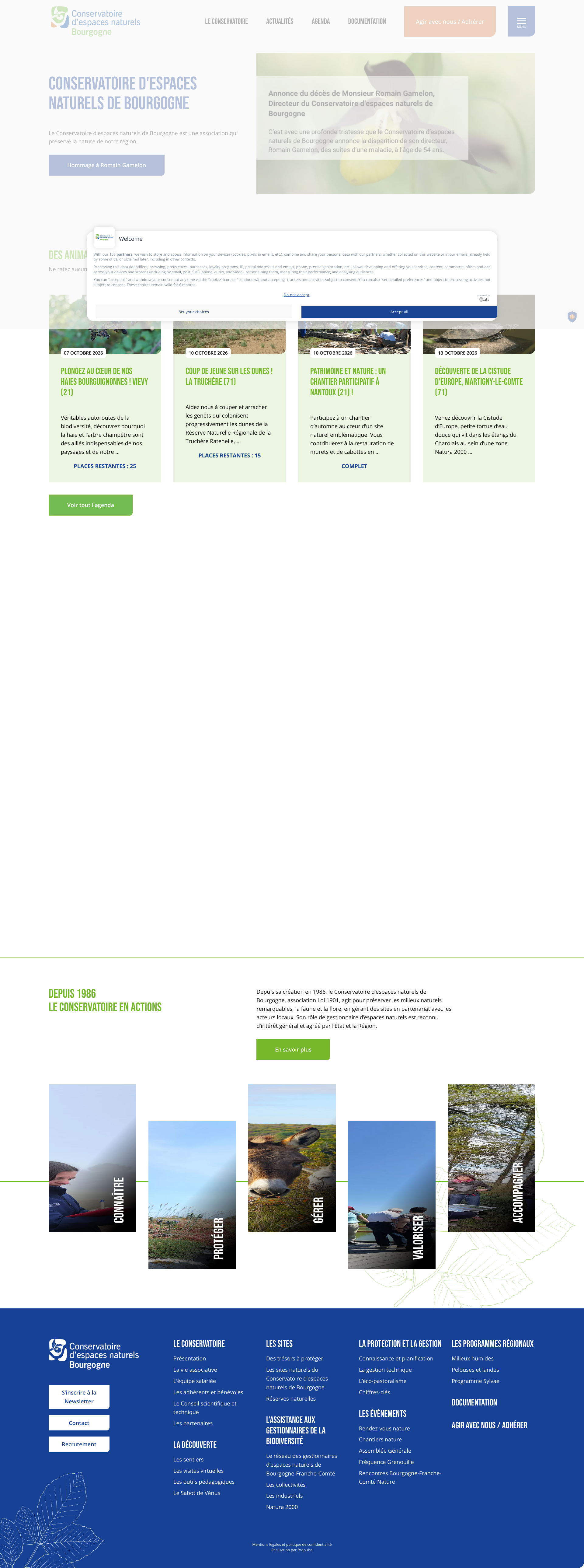 Aperçu du site
