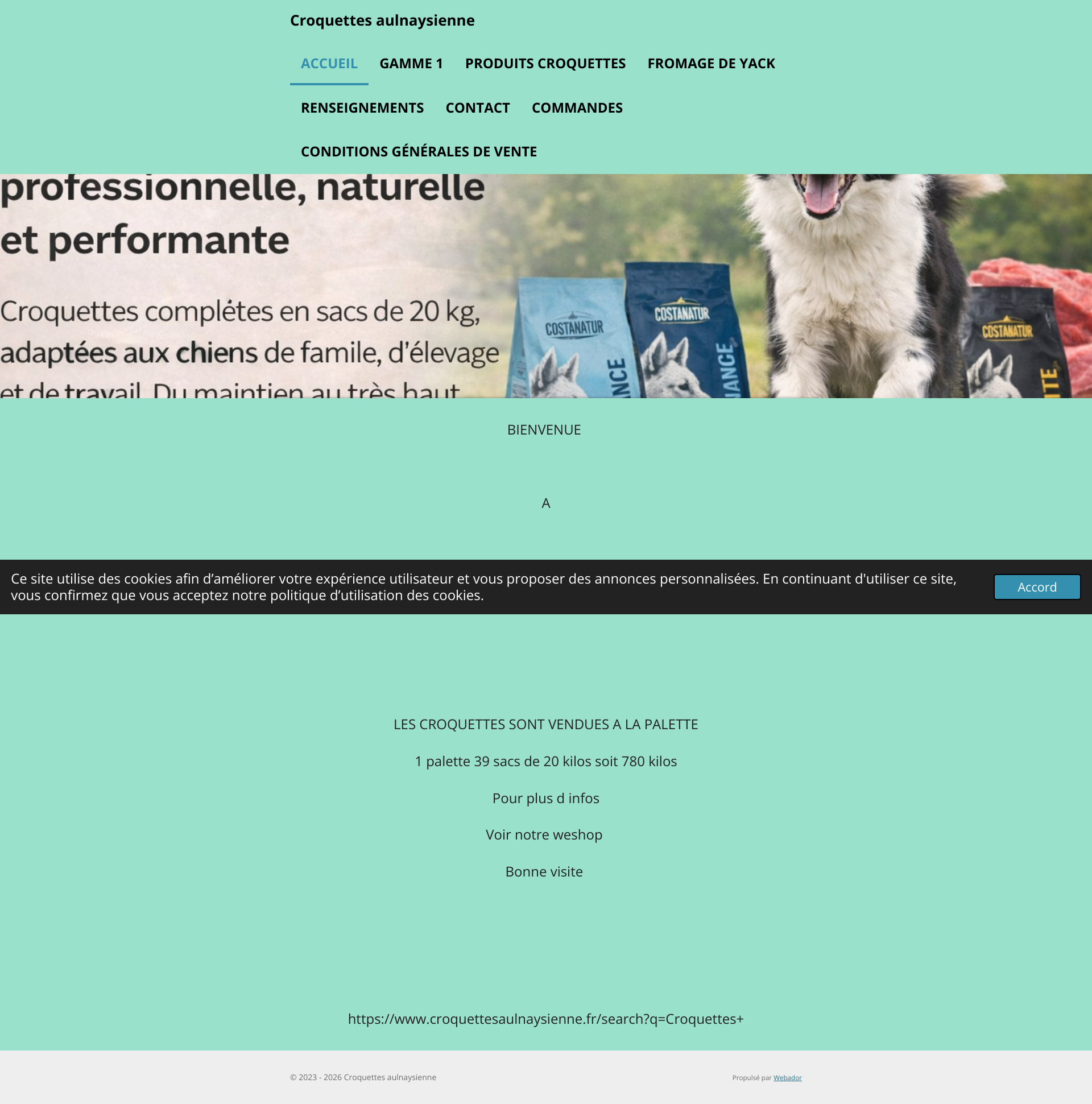 Aperçu du site