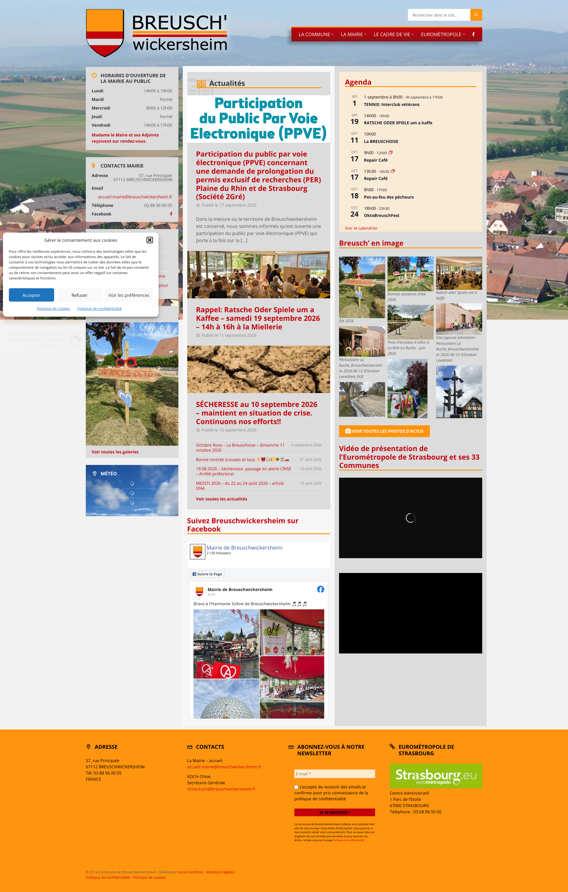 Aperçu du site