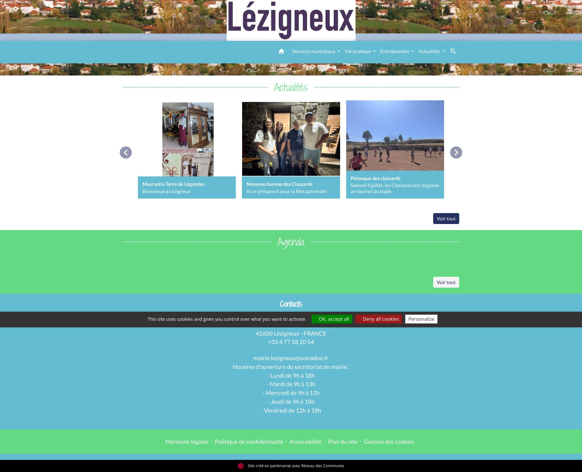 Aperçu du site