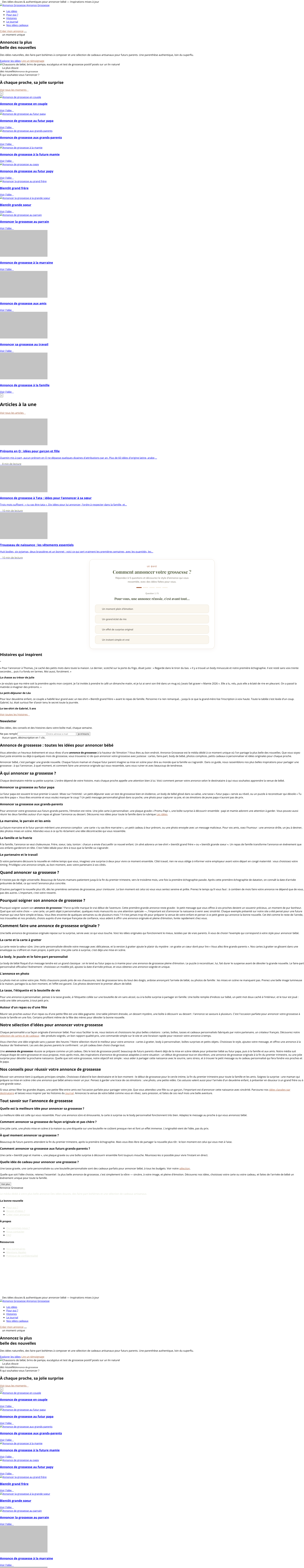 Aperçu du site