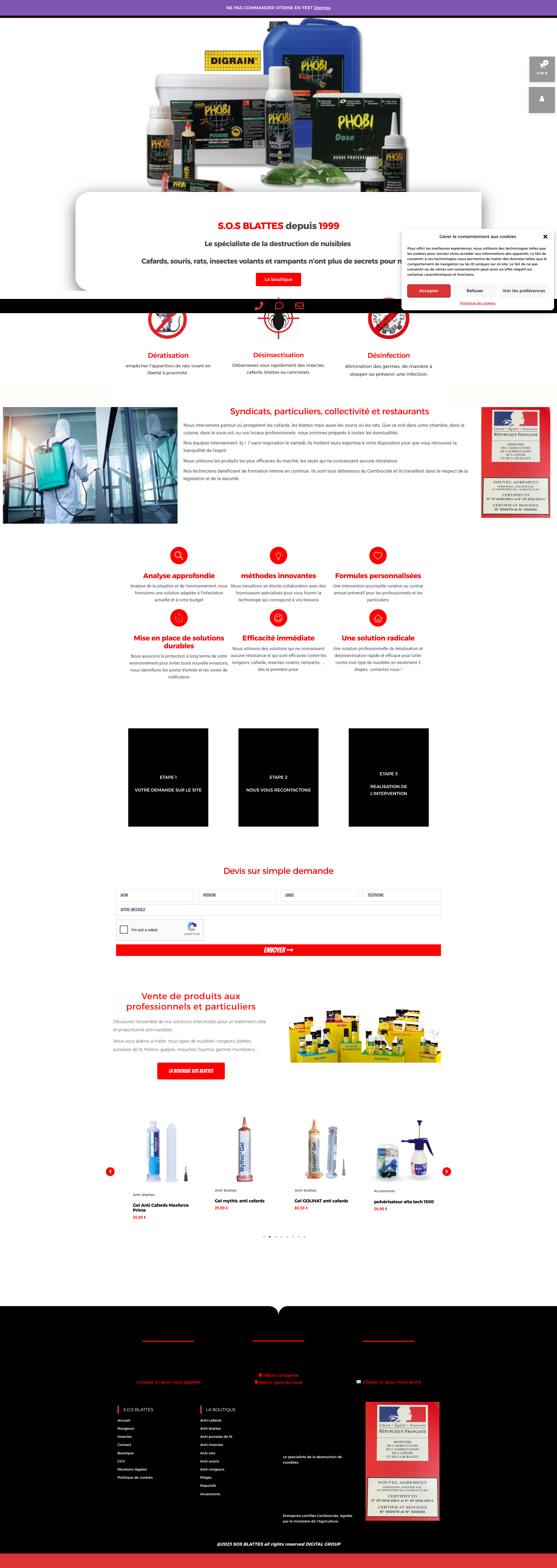 Aperçu du site