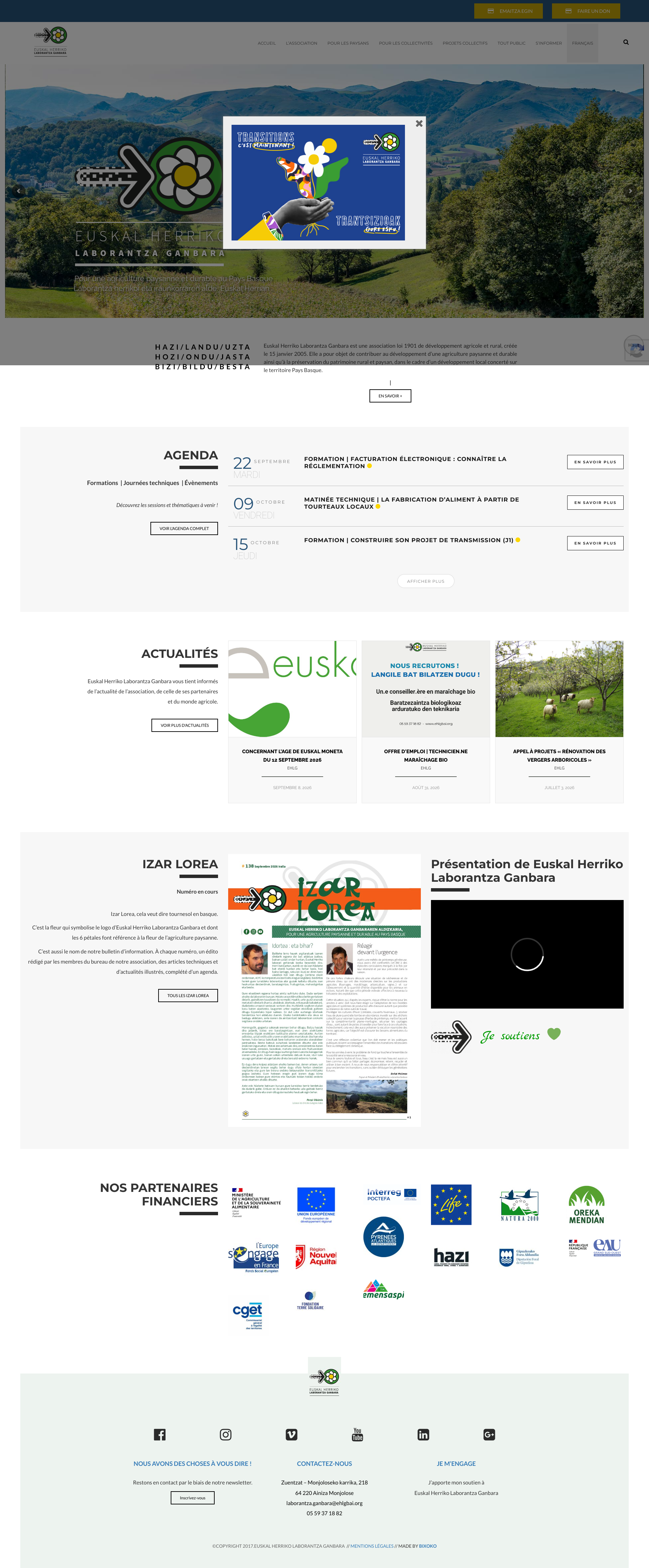 Aperçu du site