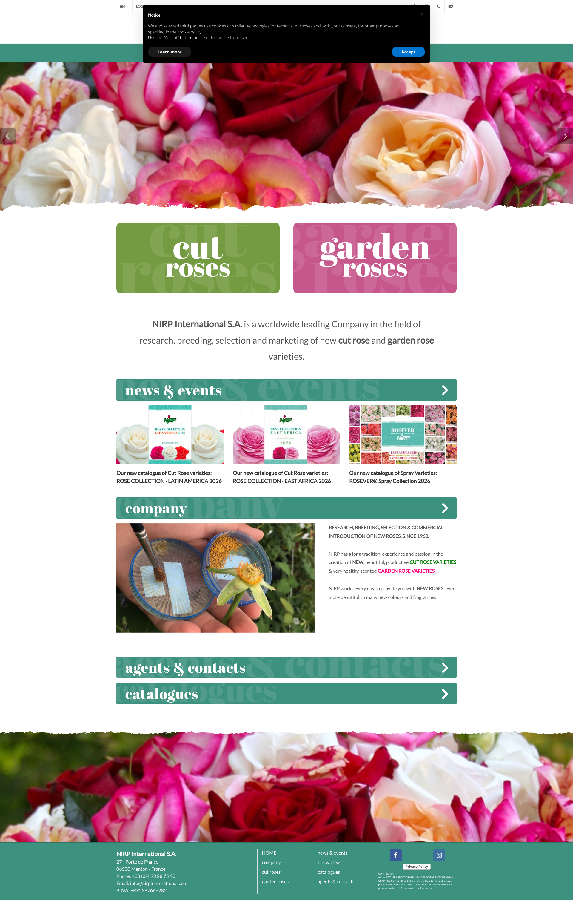 Aperçu du site