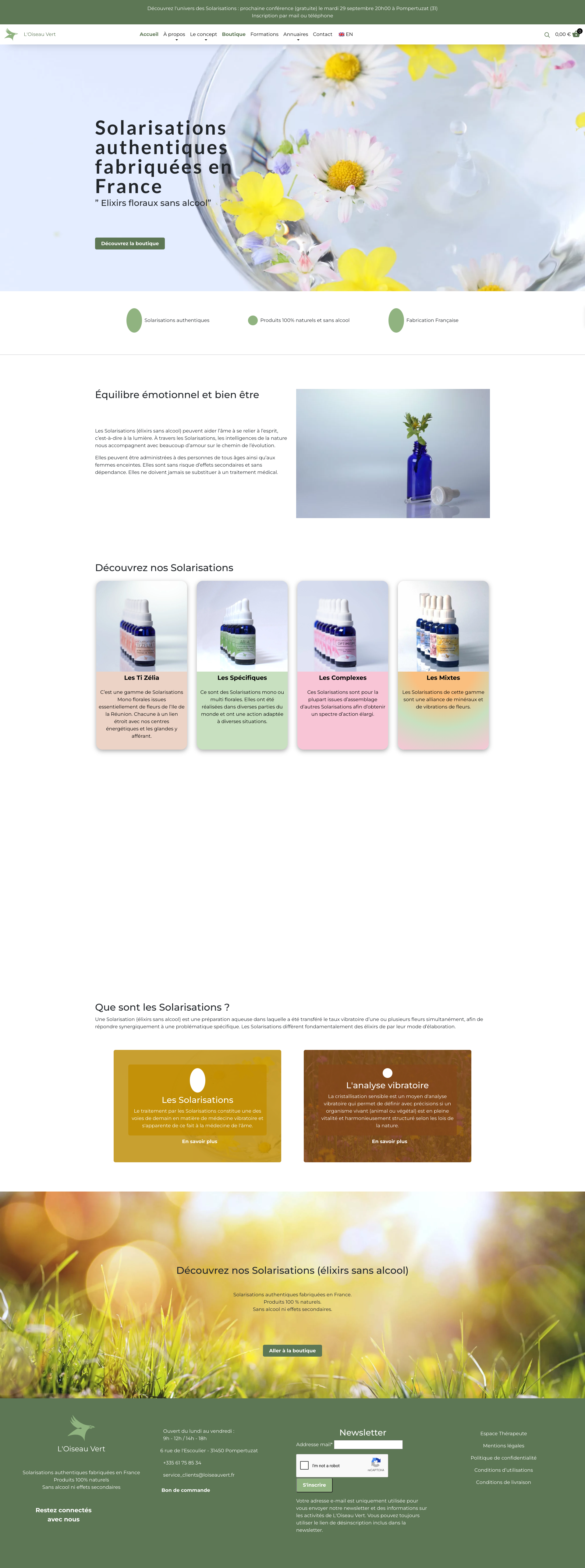 Aperçu du site