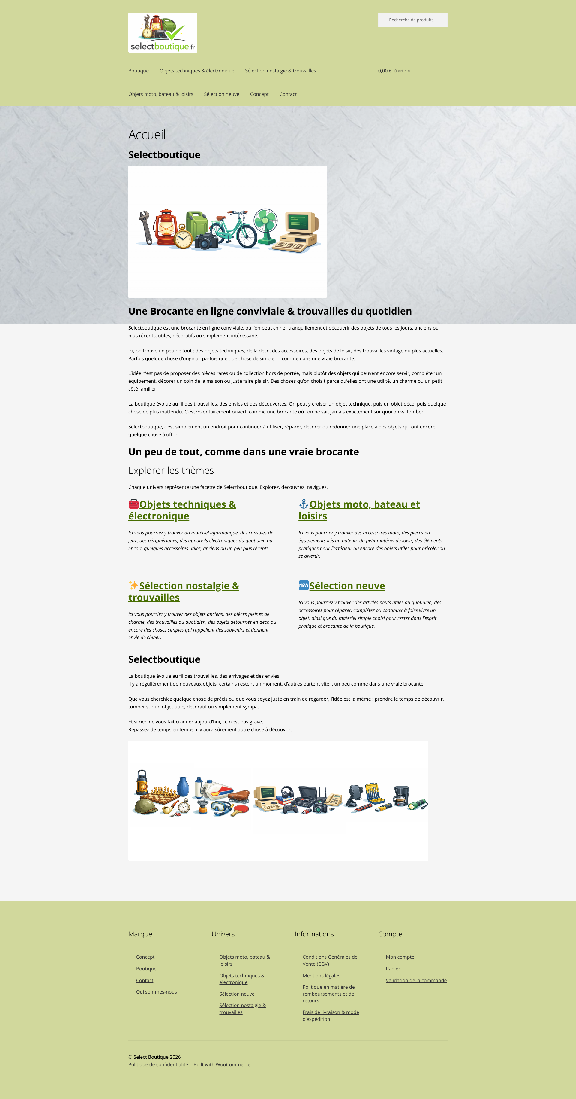 Aperçu du site