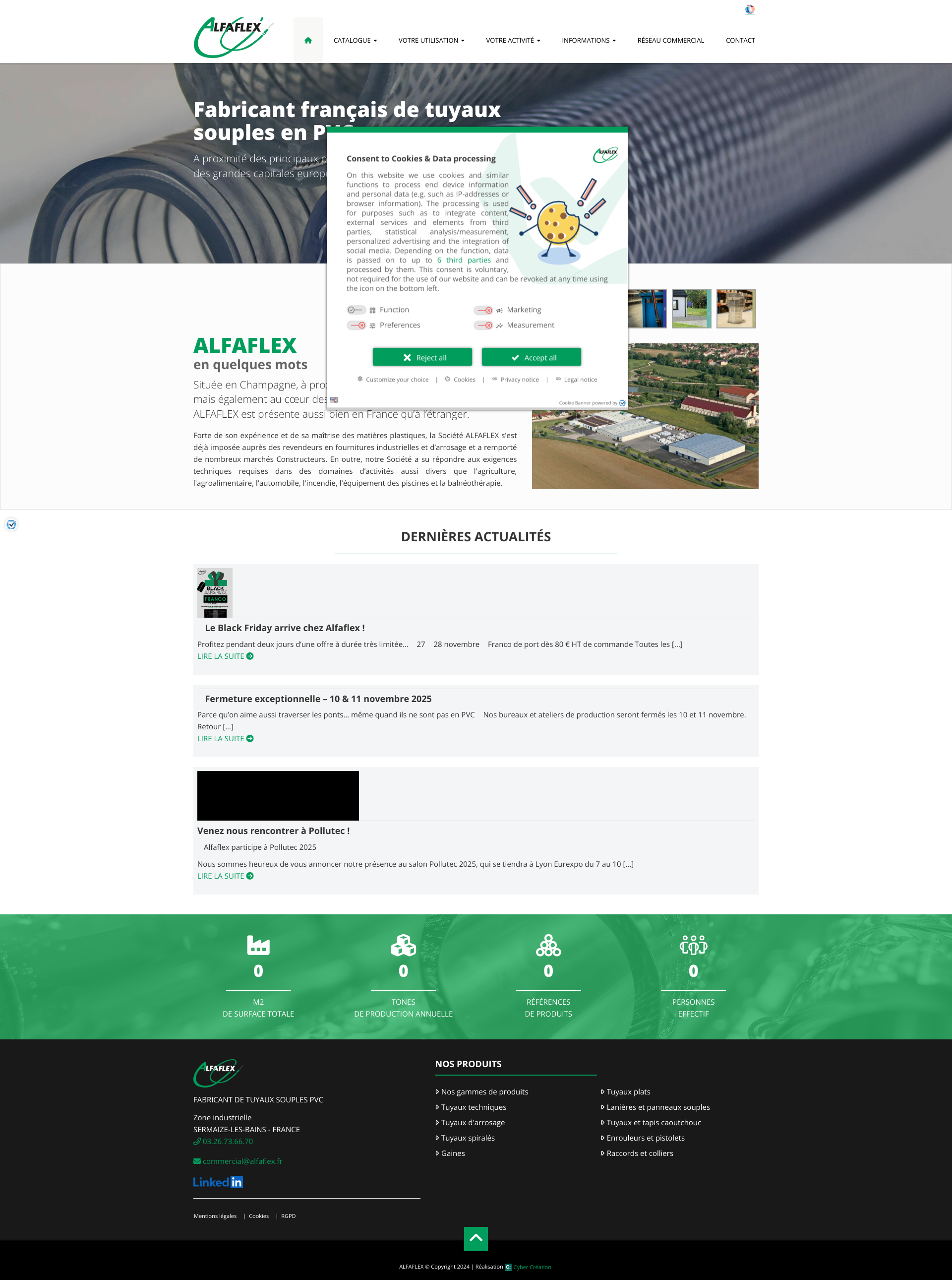 Aperçu du site
