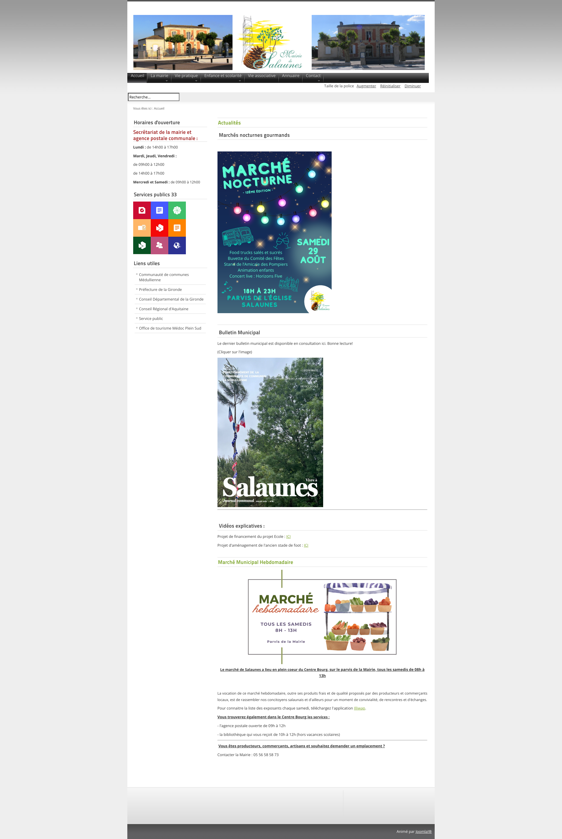 Aperçu du site