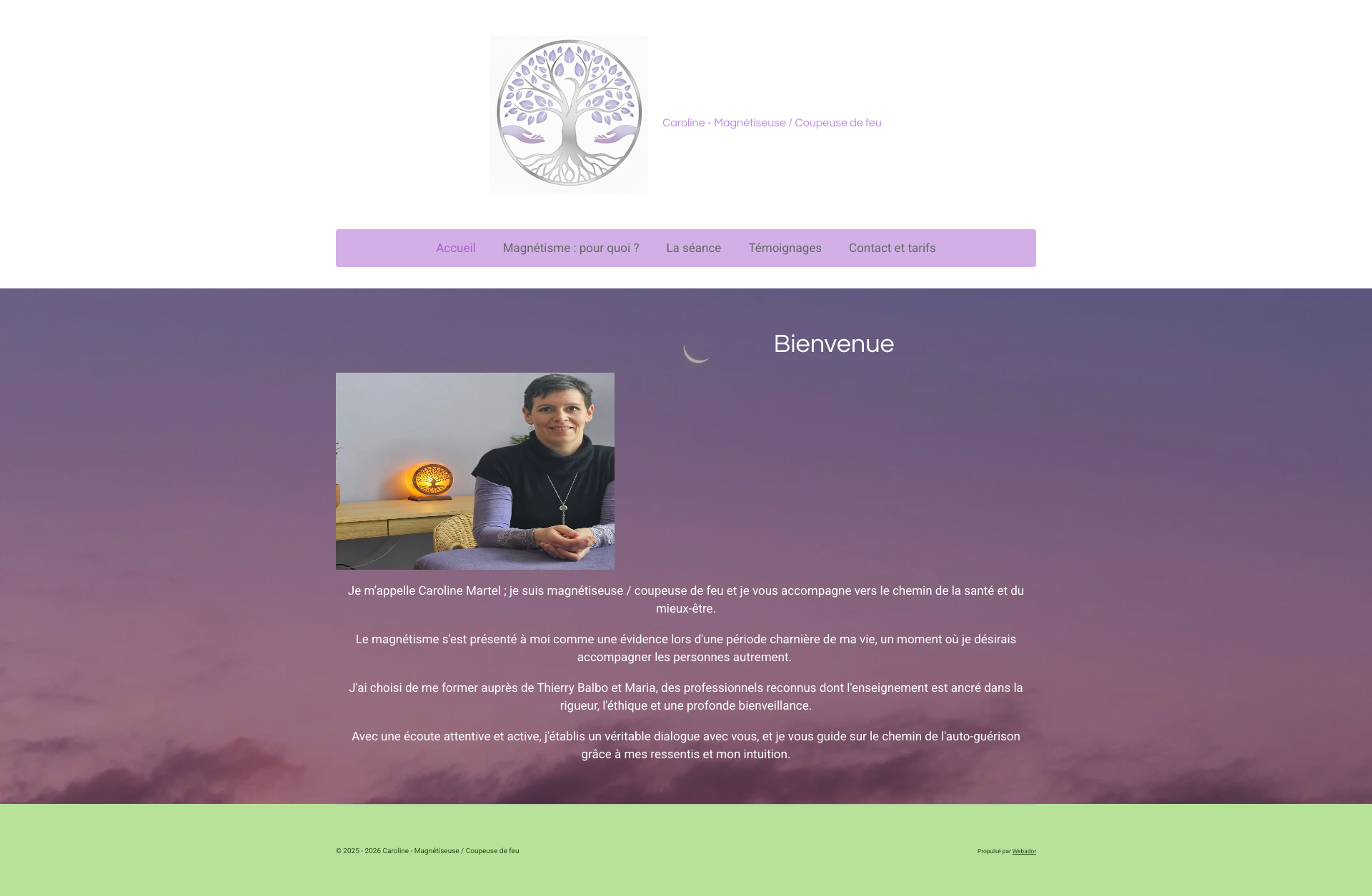 Aperçu du site