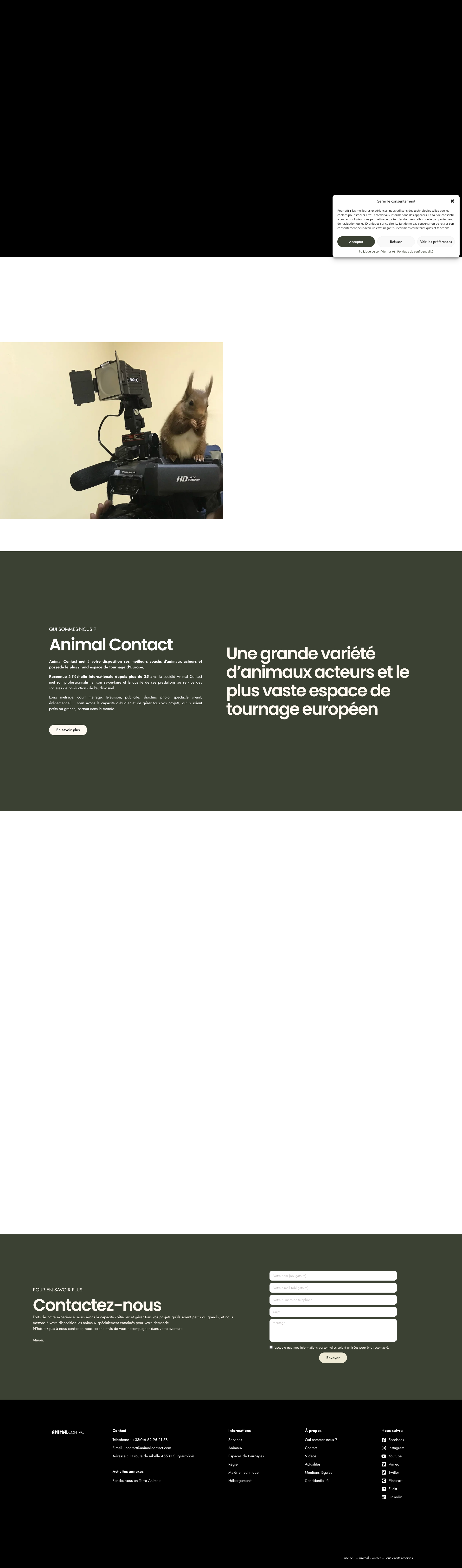 Aperçu du site