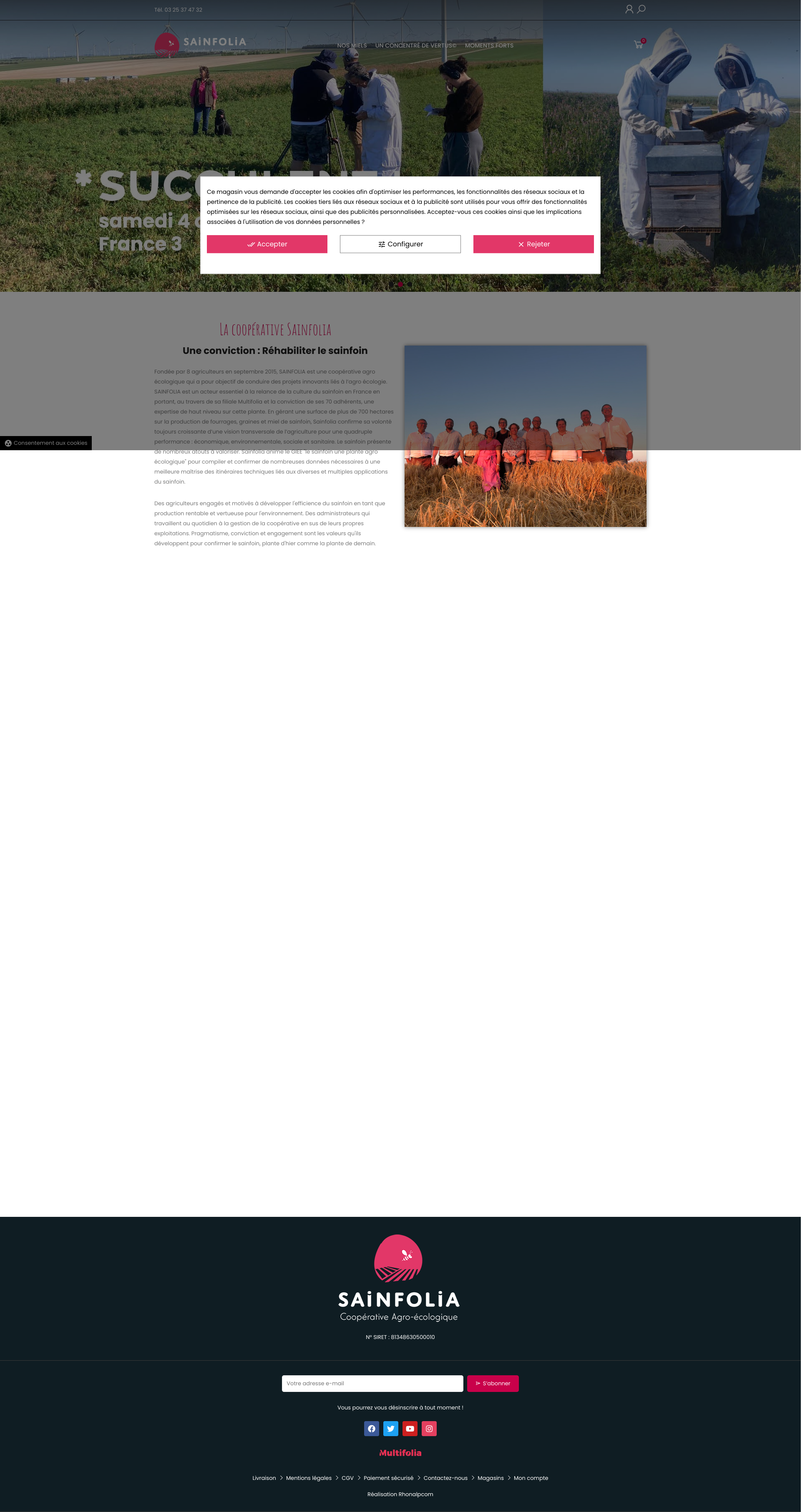 Aperçu du site