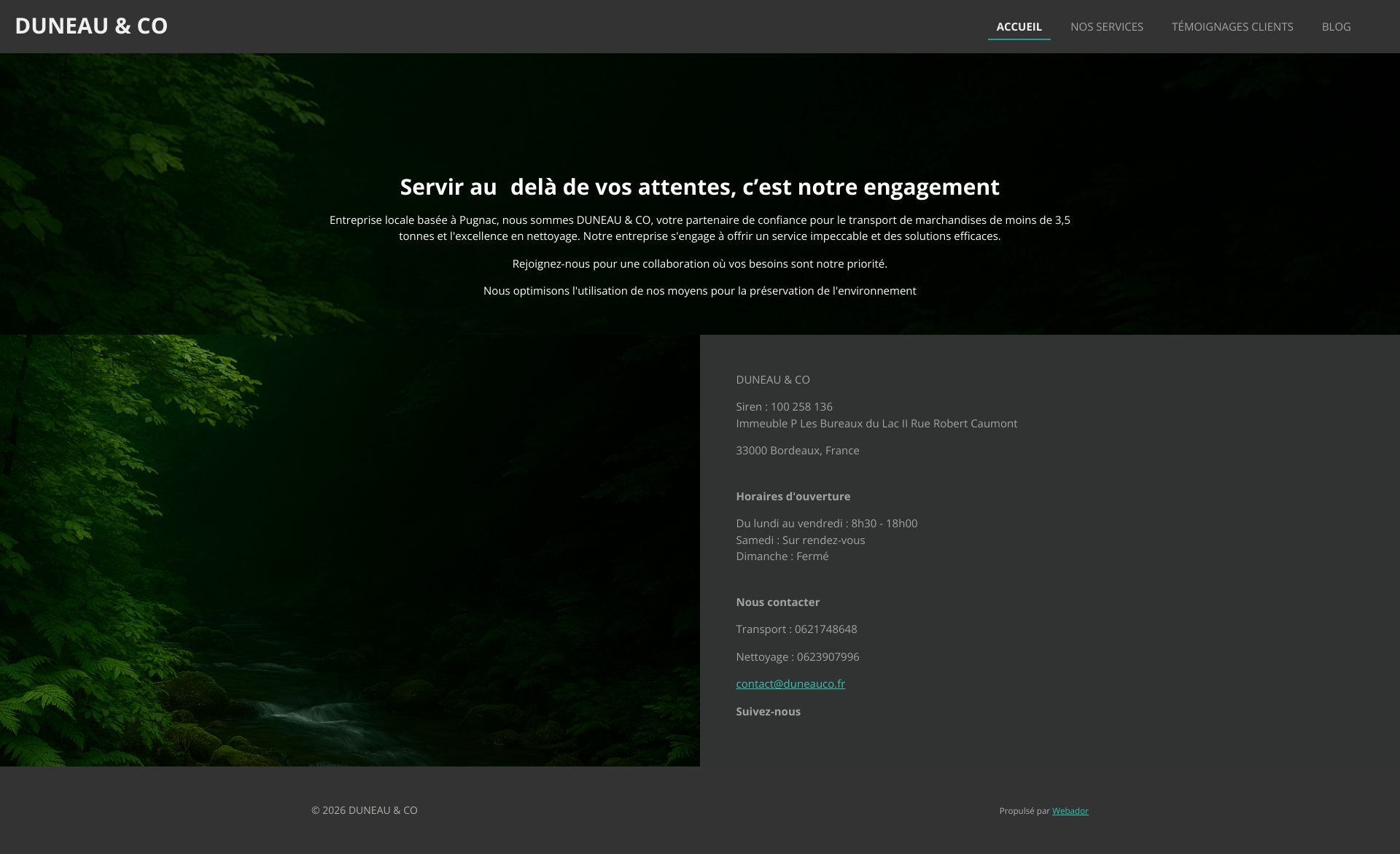 Aperçu du site