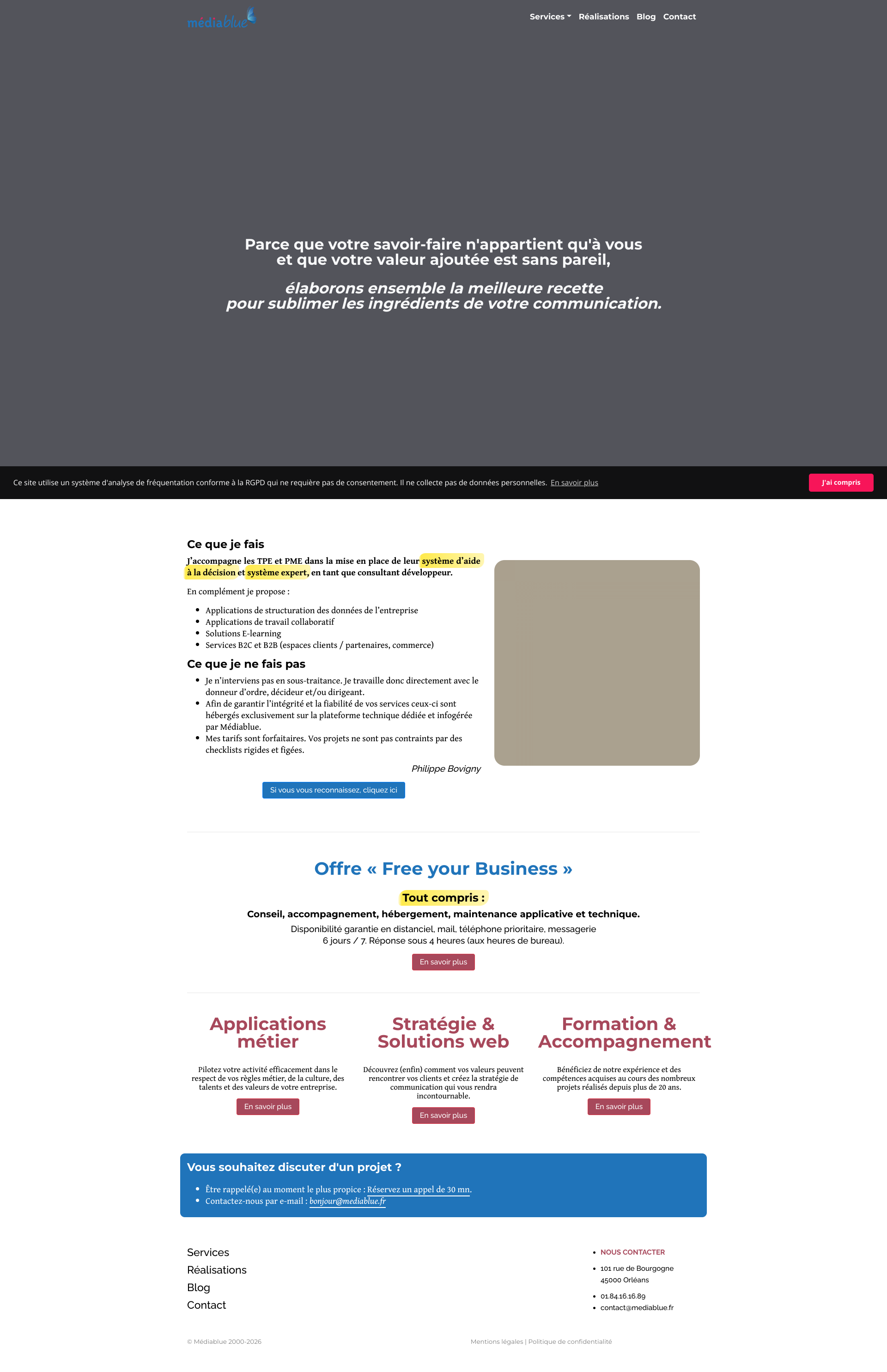 Aperçu du site