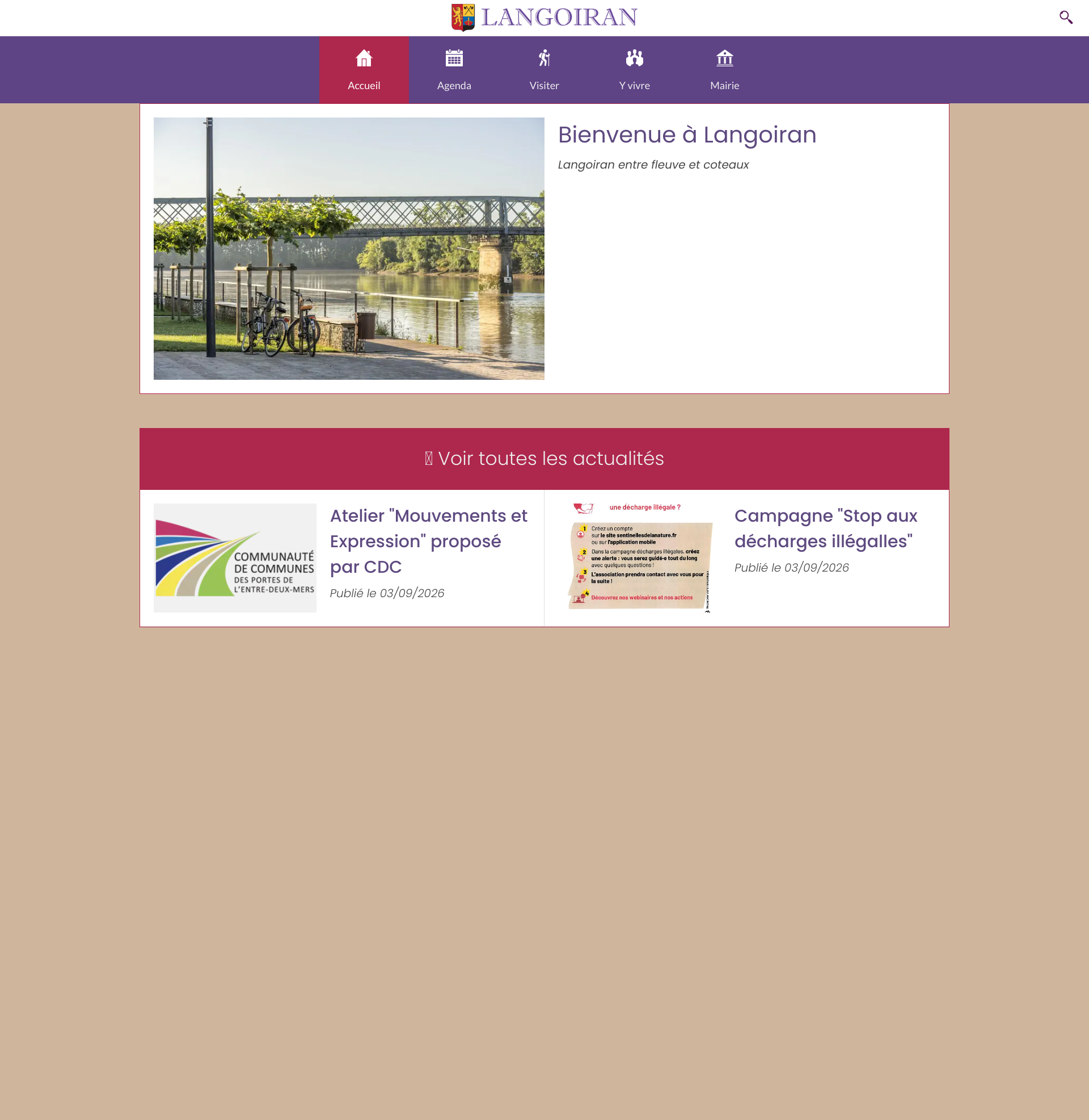 Aperçu du site