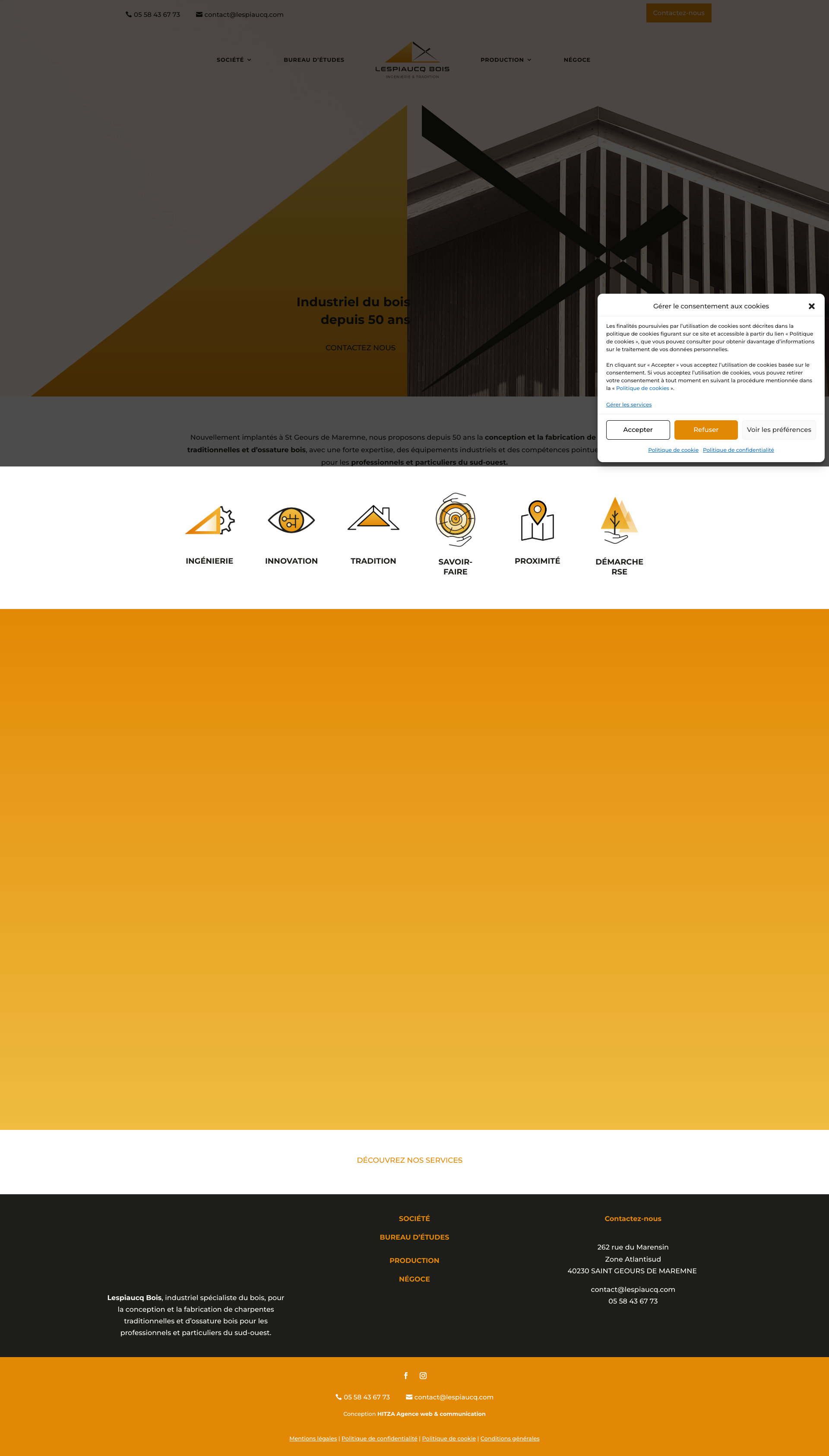 Aperçu du site