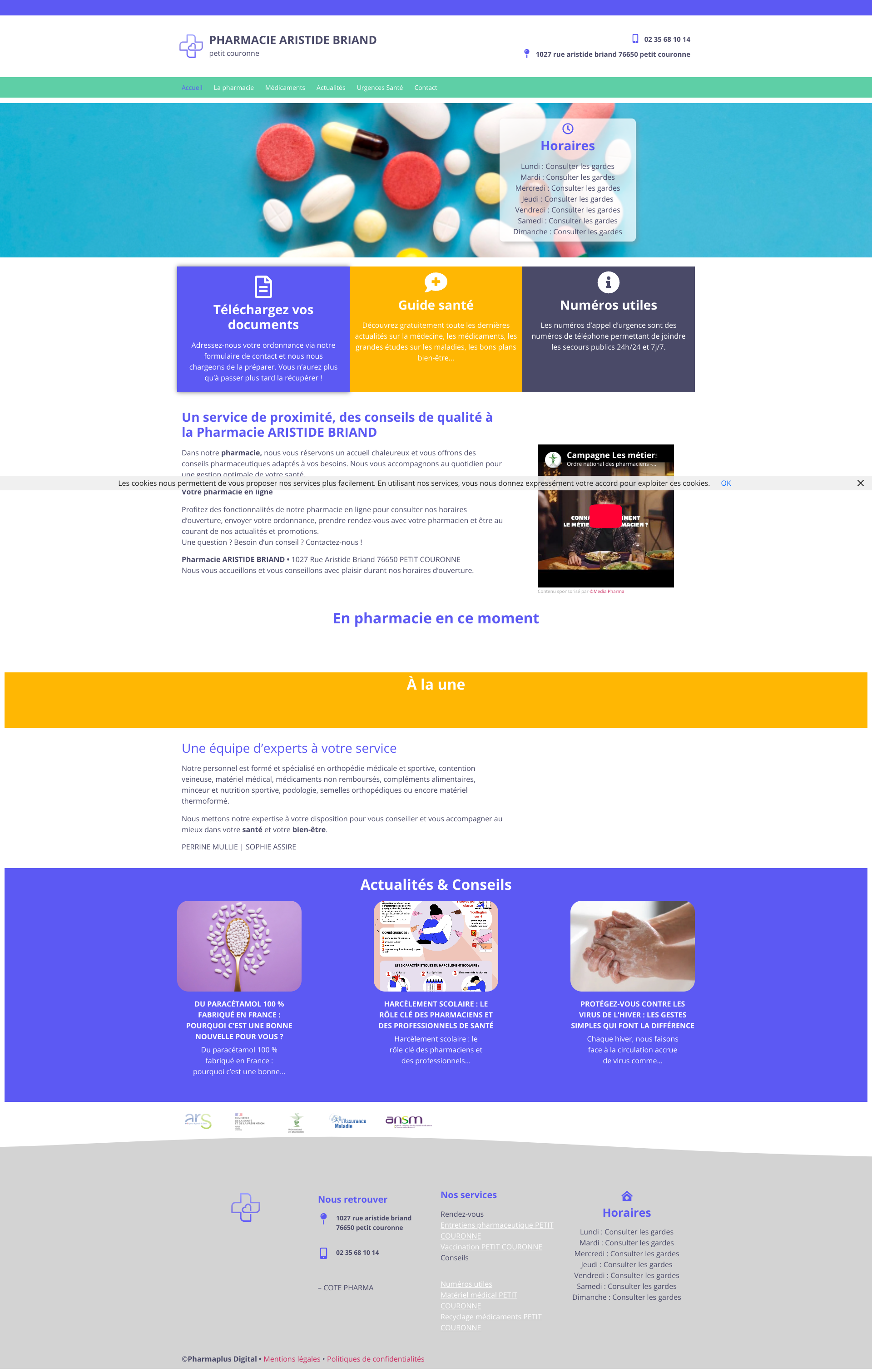 Aperçu du site