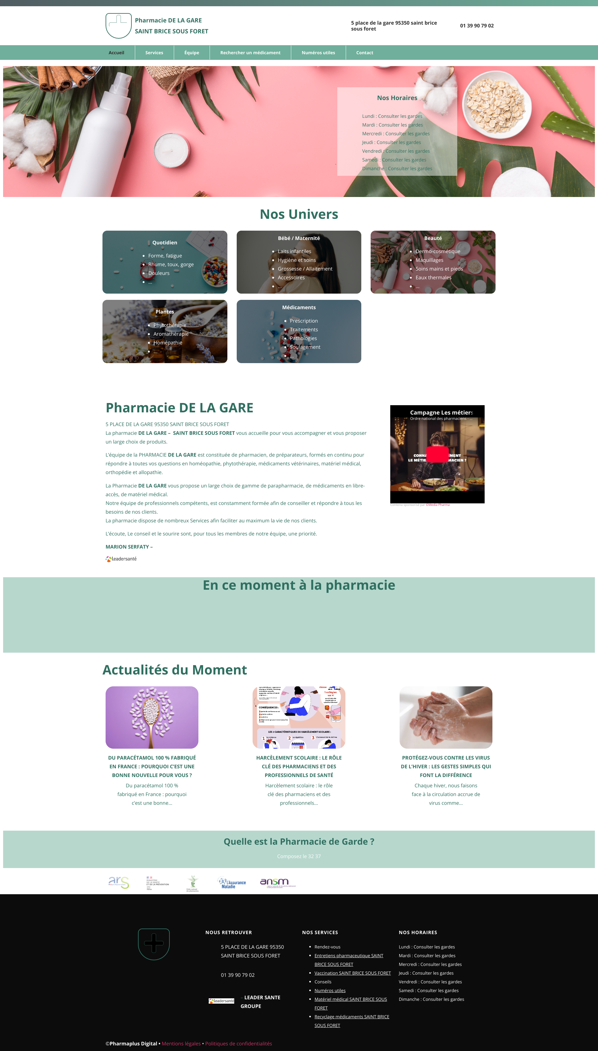 Aperçu du site