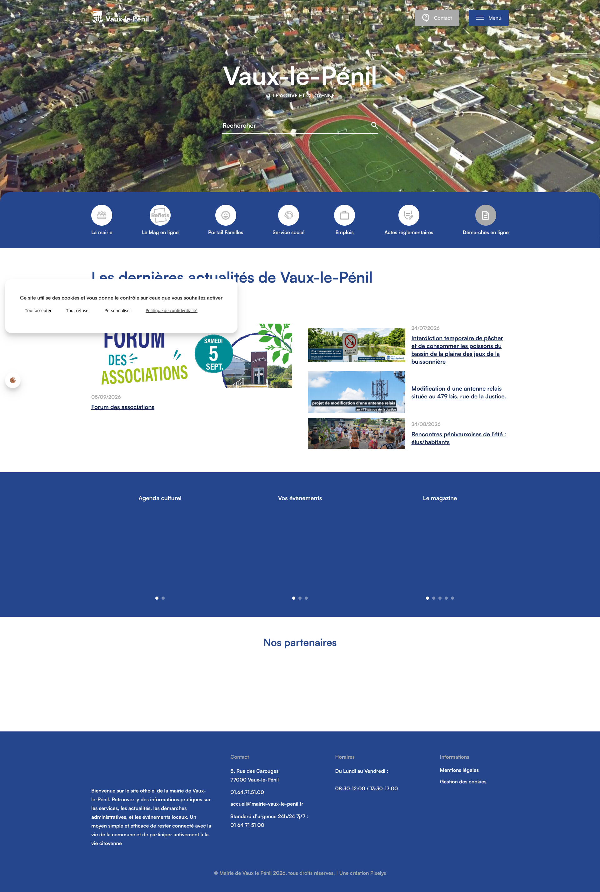 Aperçu du site