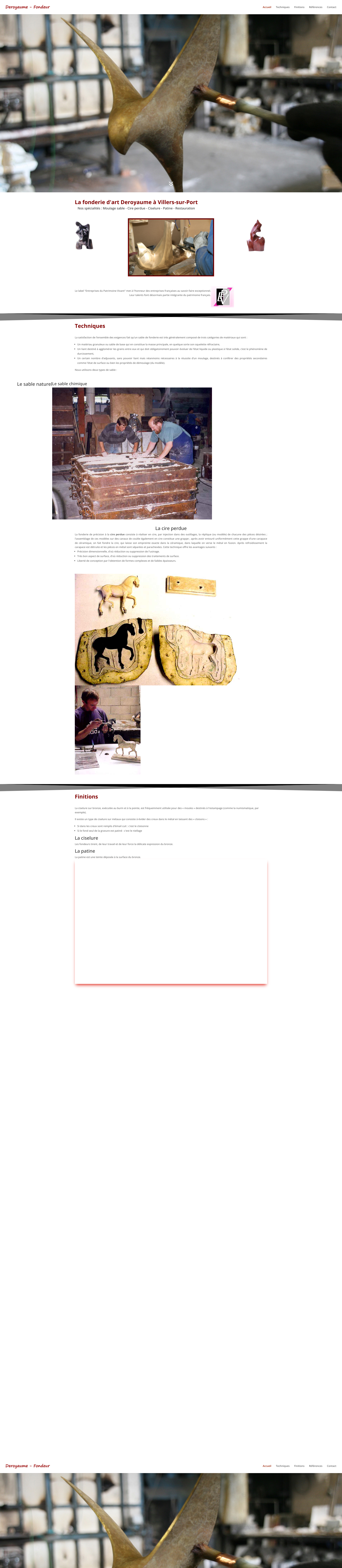 Aperçu du site