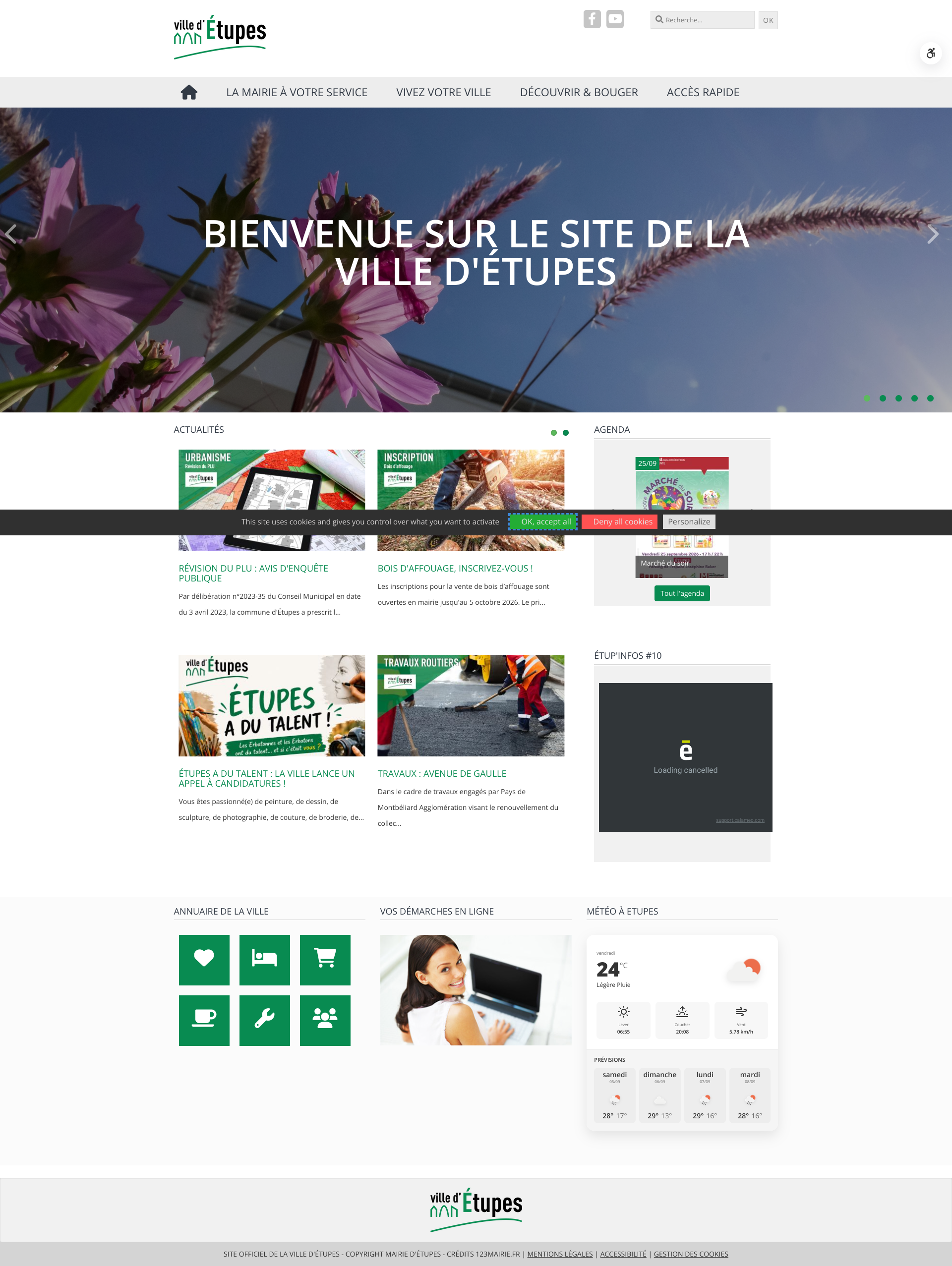 Aperçu du site