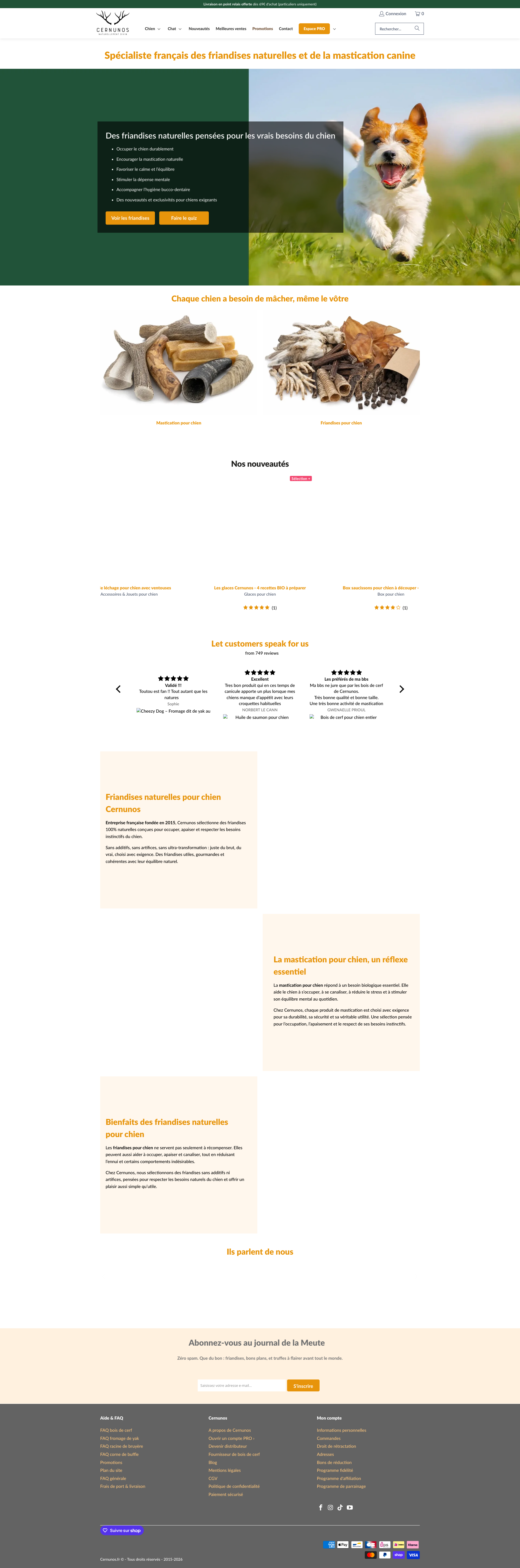 Aperçu du site