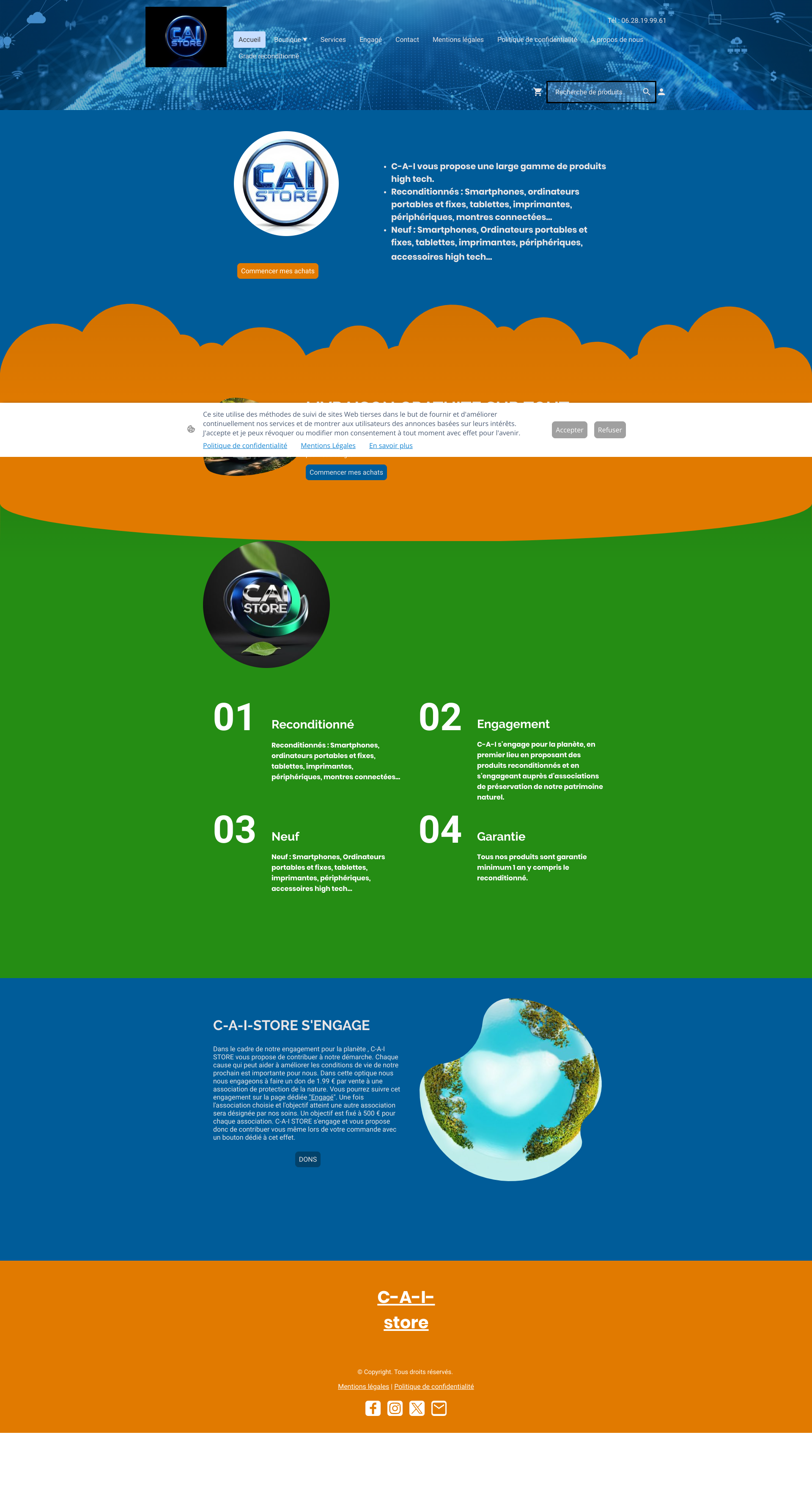 Aperçu du site