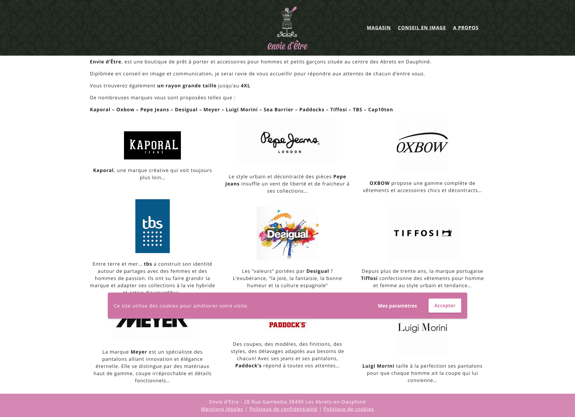 Aperçu du site