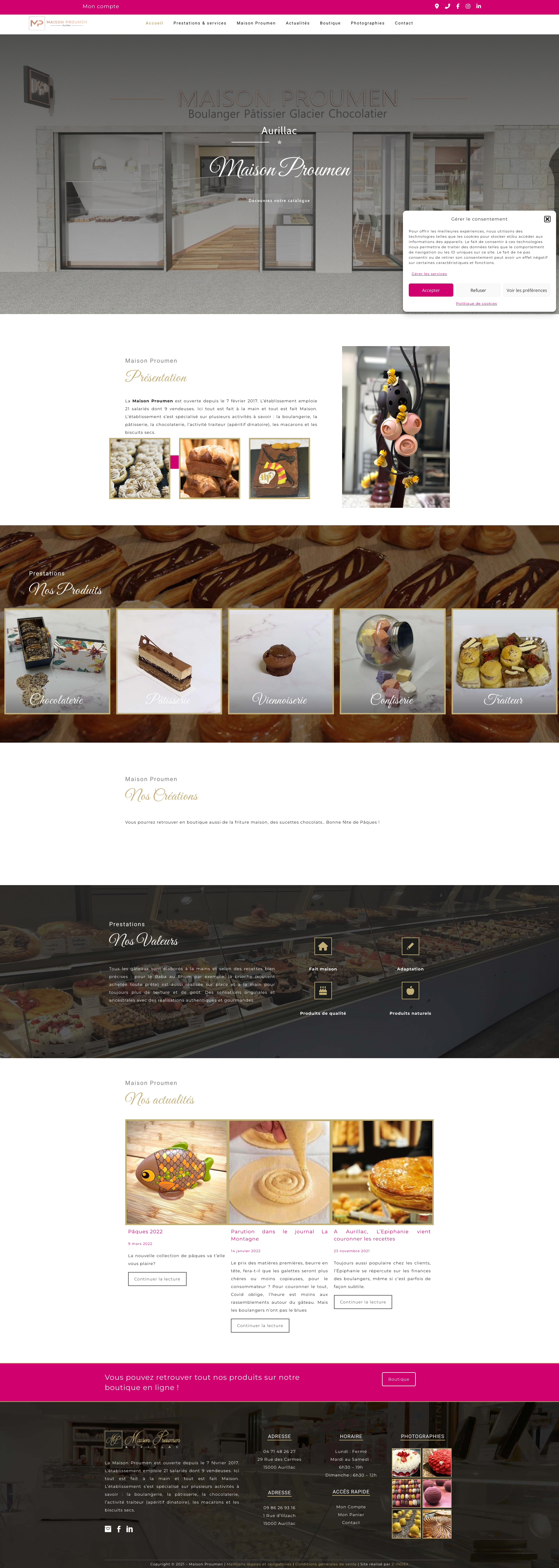 Aperçu du site