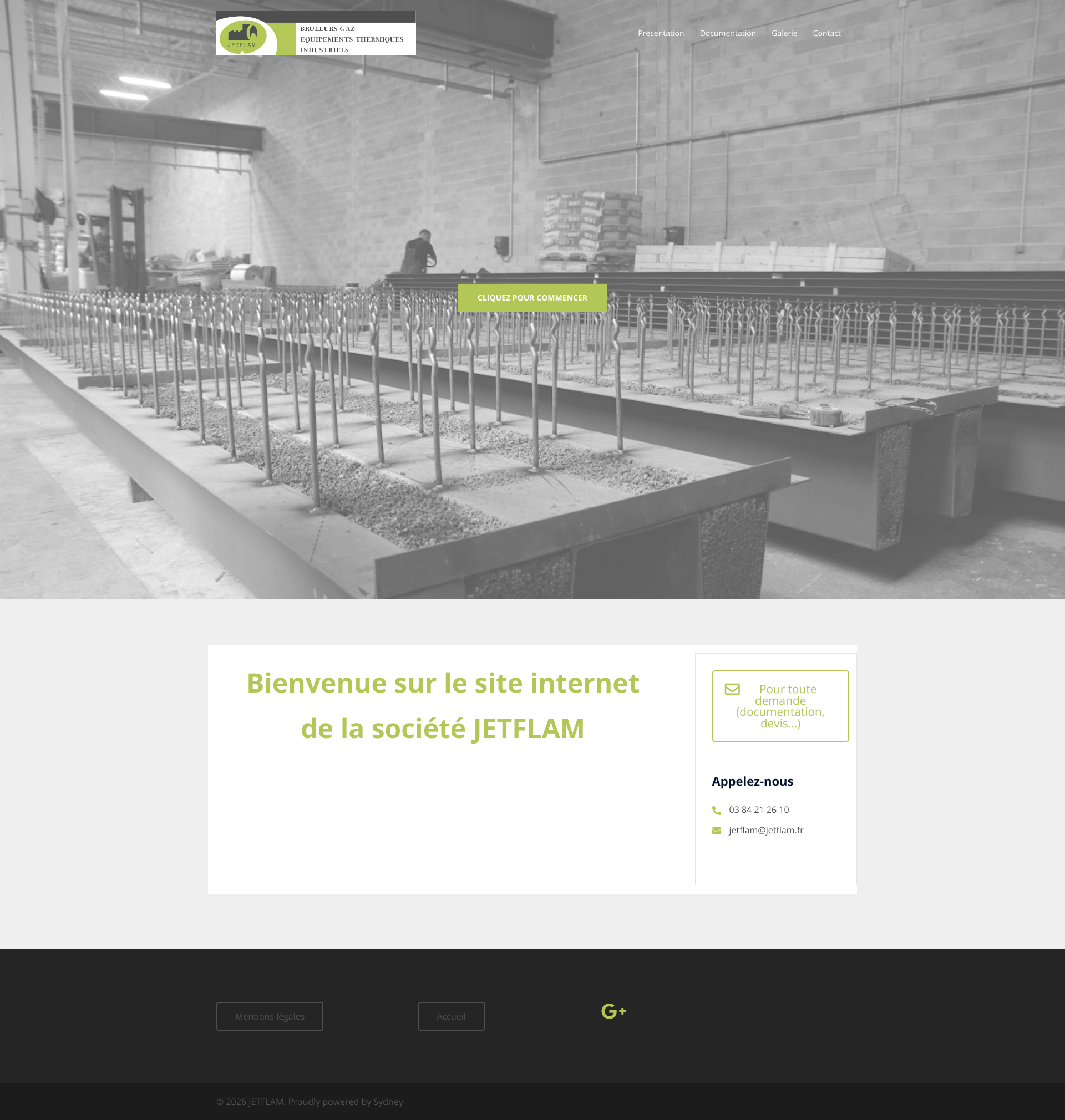 Aperçu du site