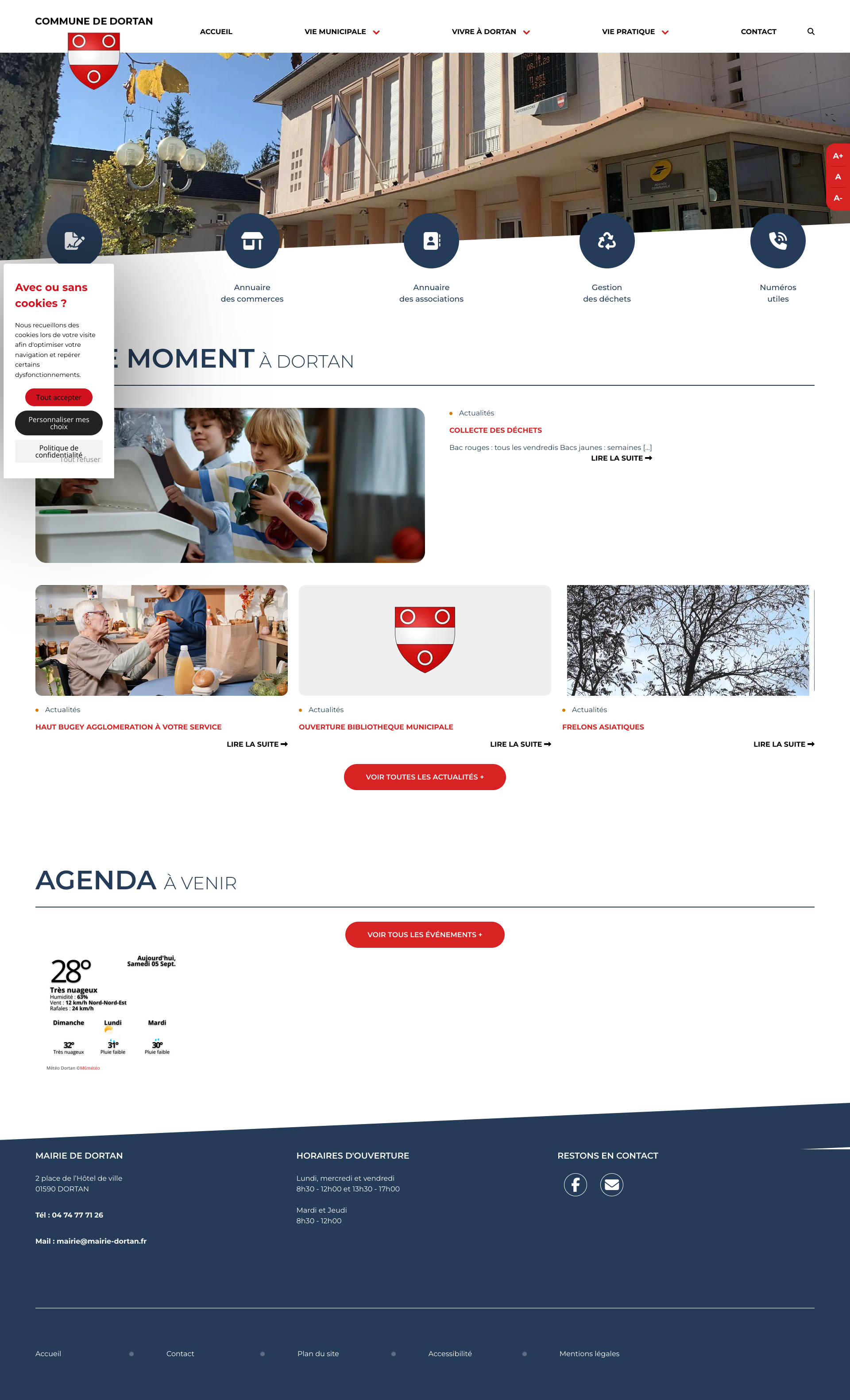 Aperçu du site