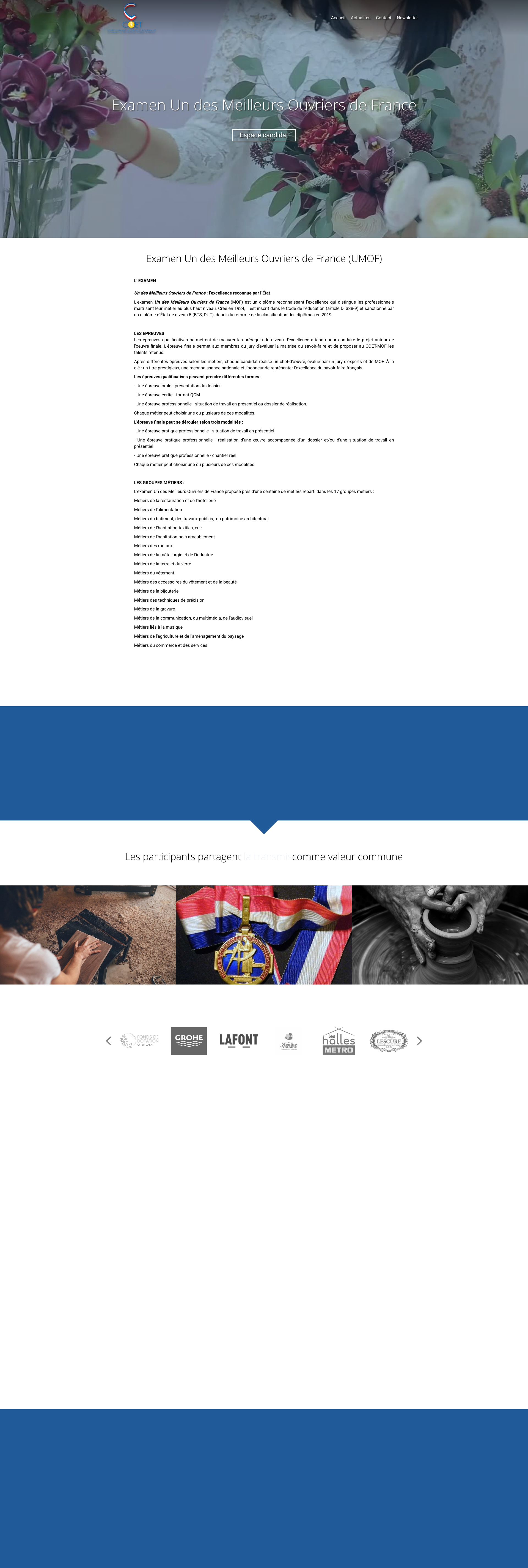 Aperçu du site