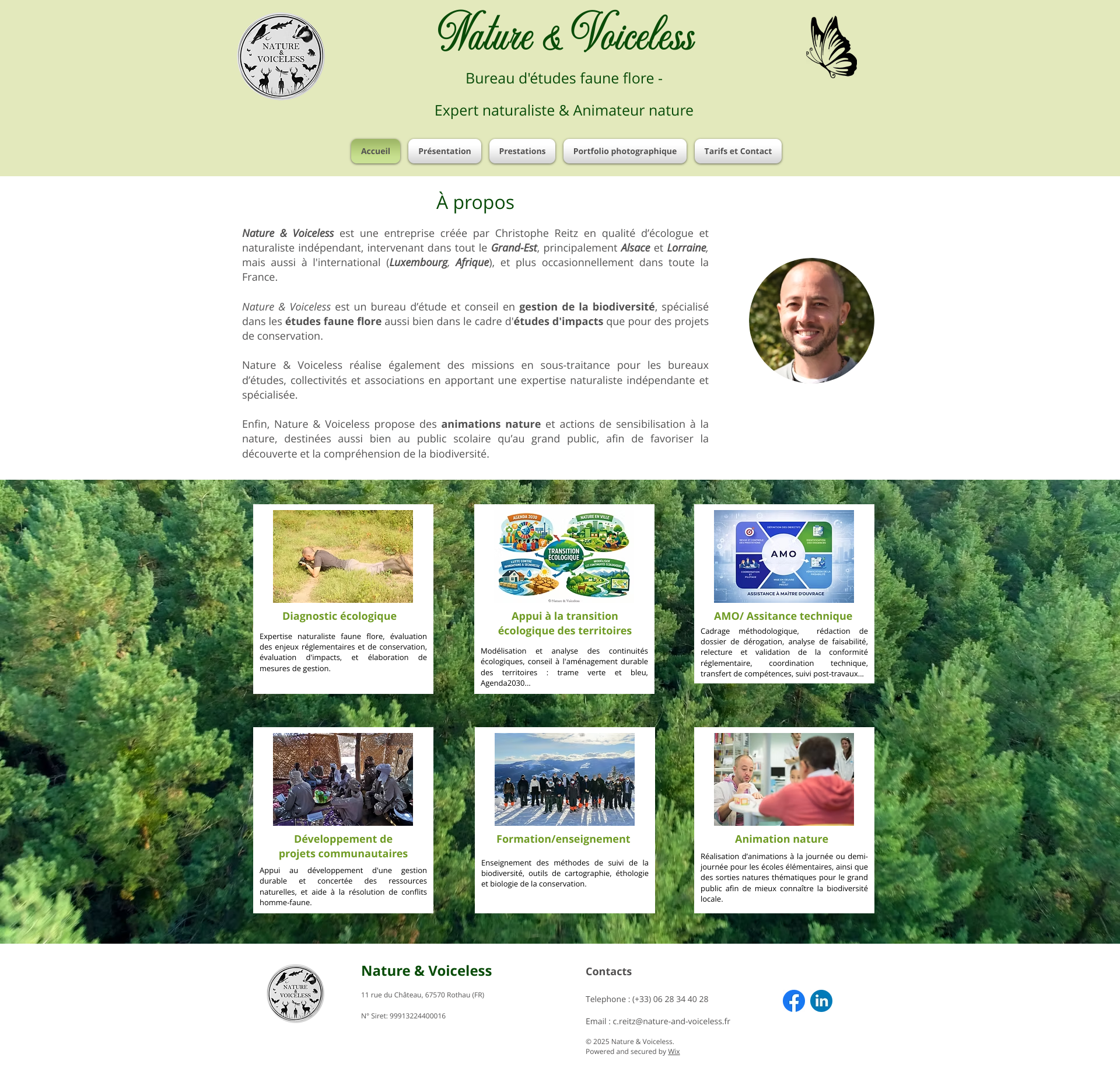 Aperçu du site