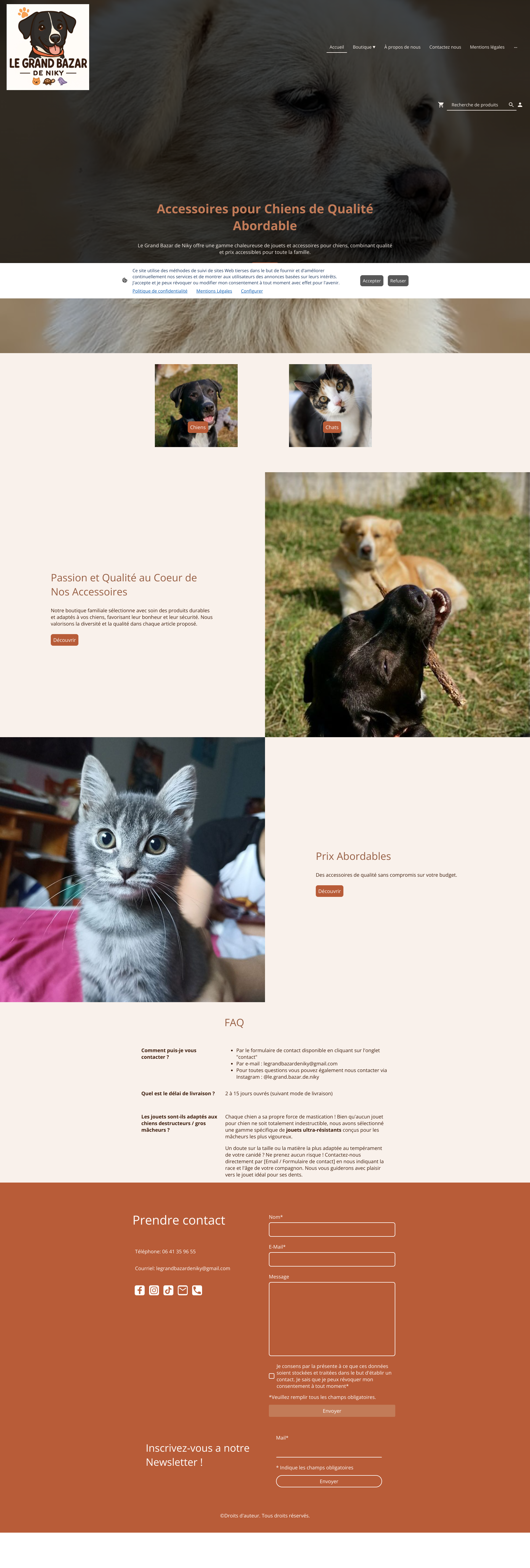 Aperçu du site
