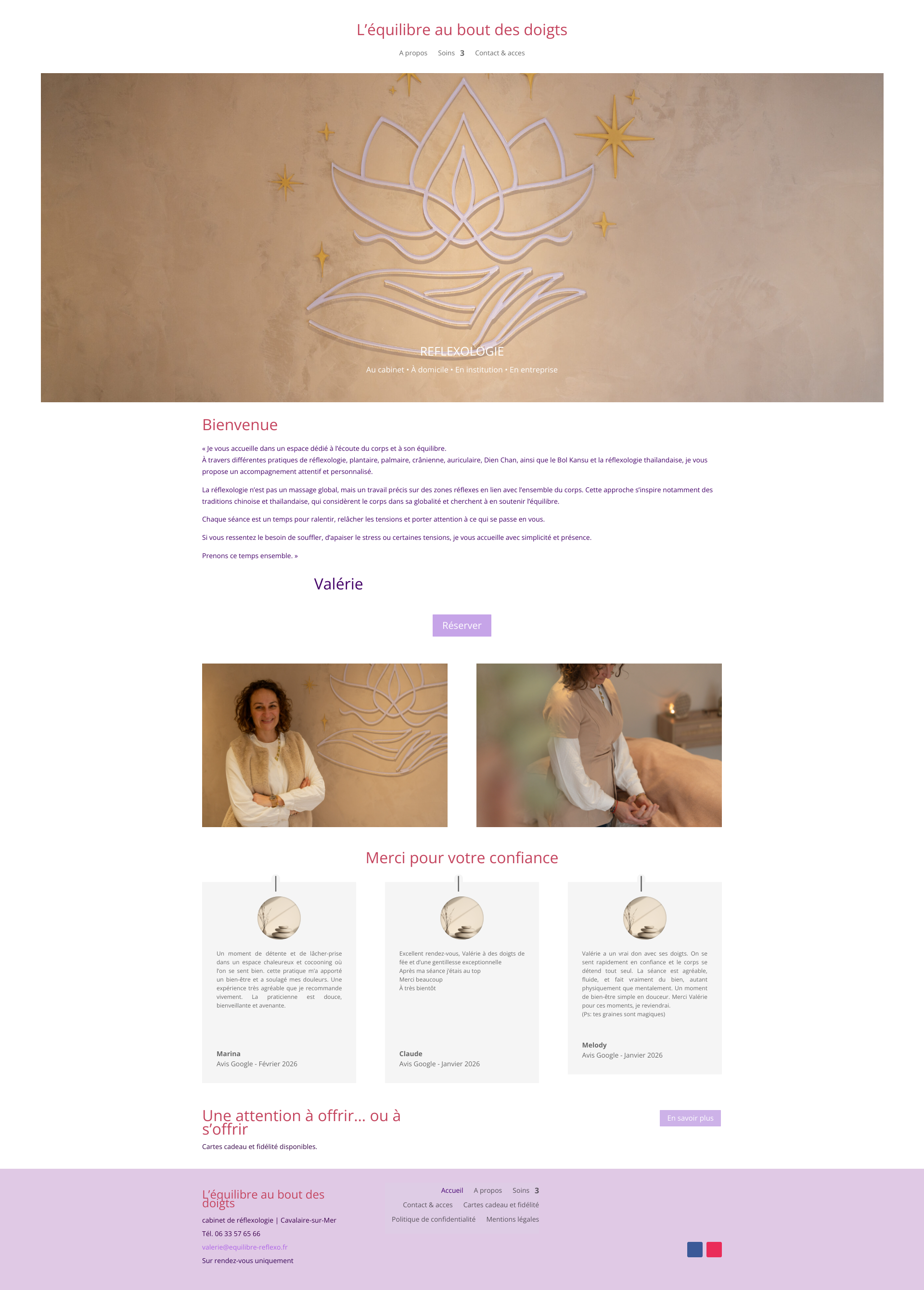 Aperçu du site
