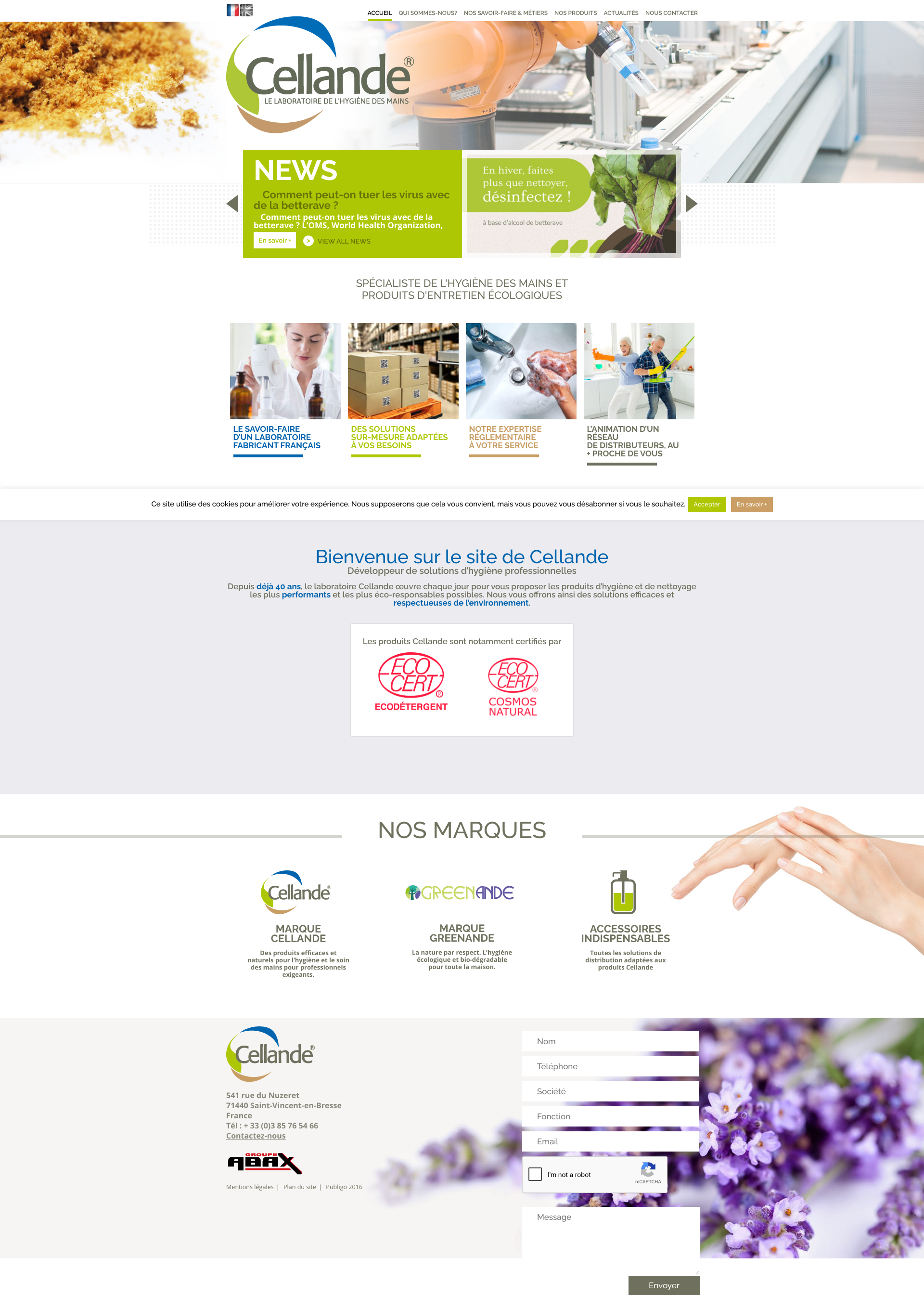 Aperçu du site