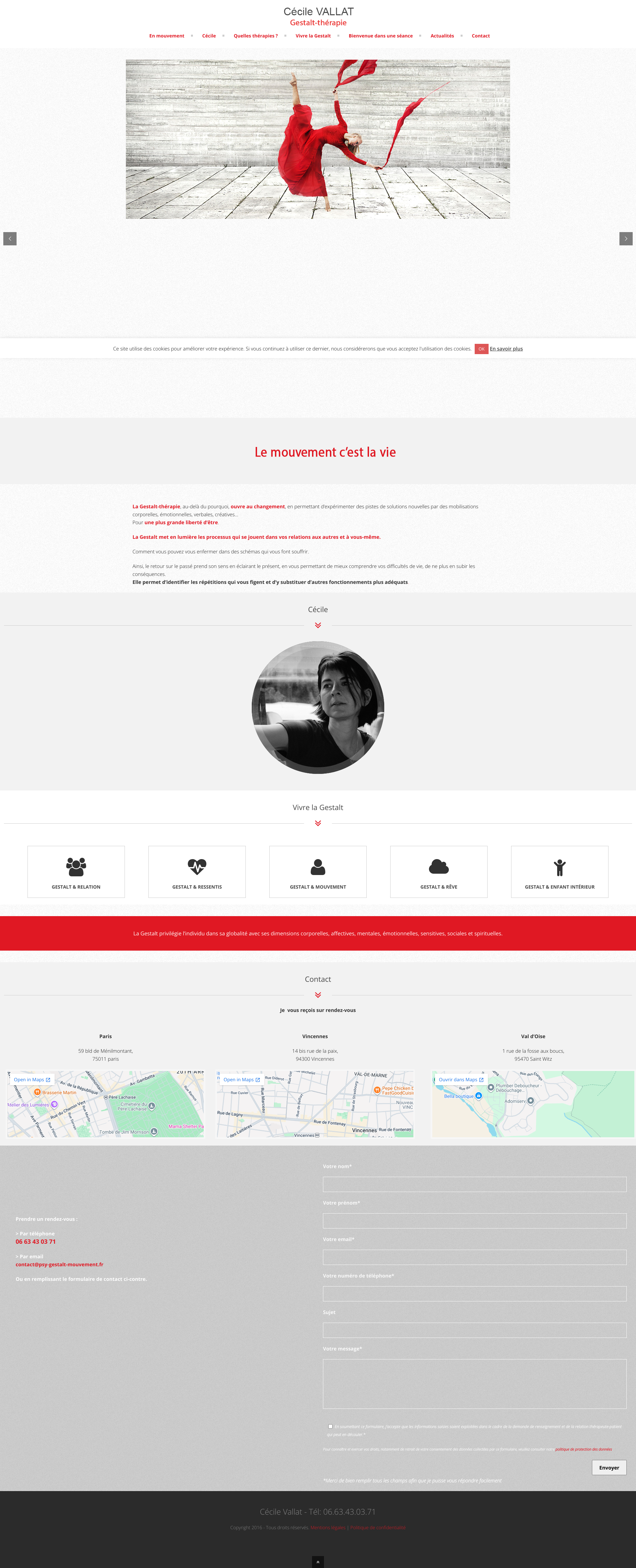 Aperçu du site