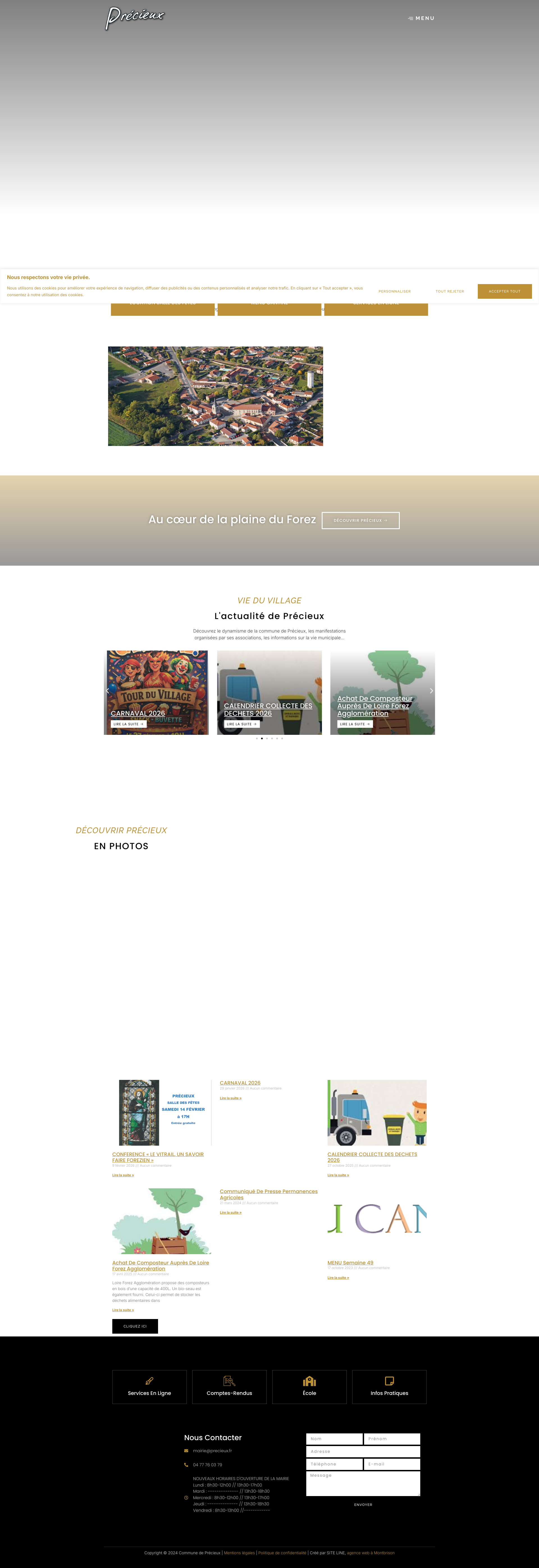 Aperçu du site