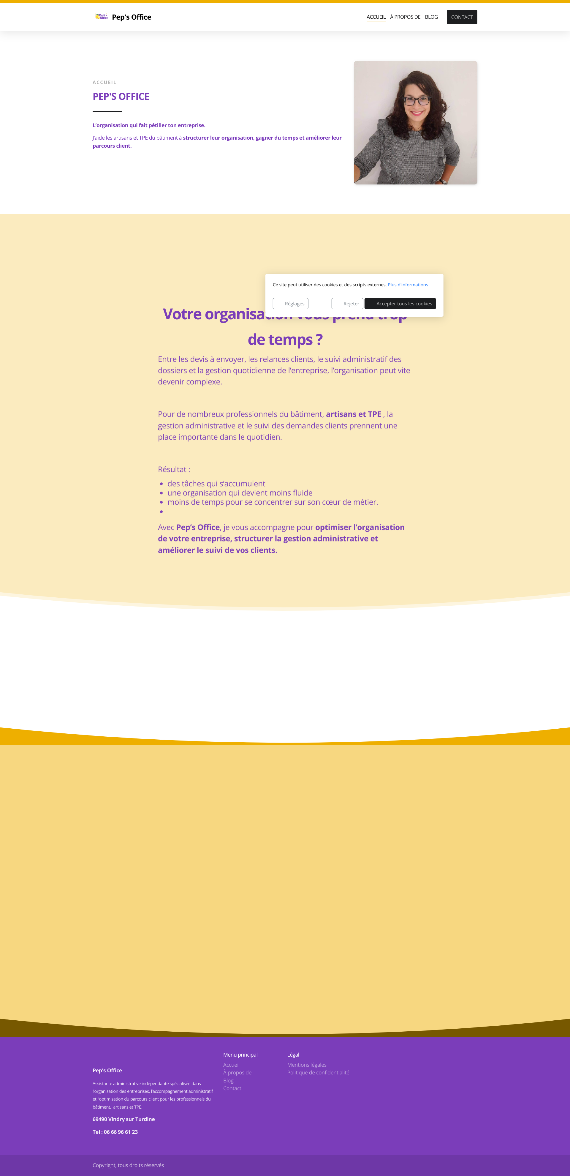 Aperçu du site