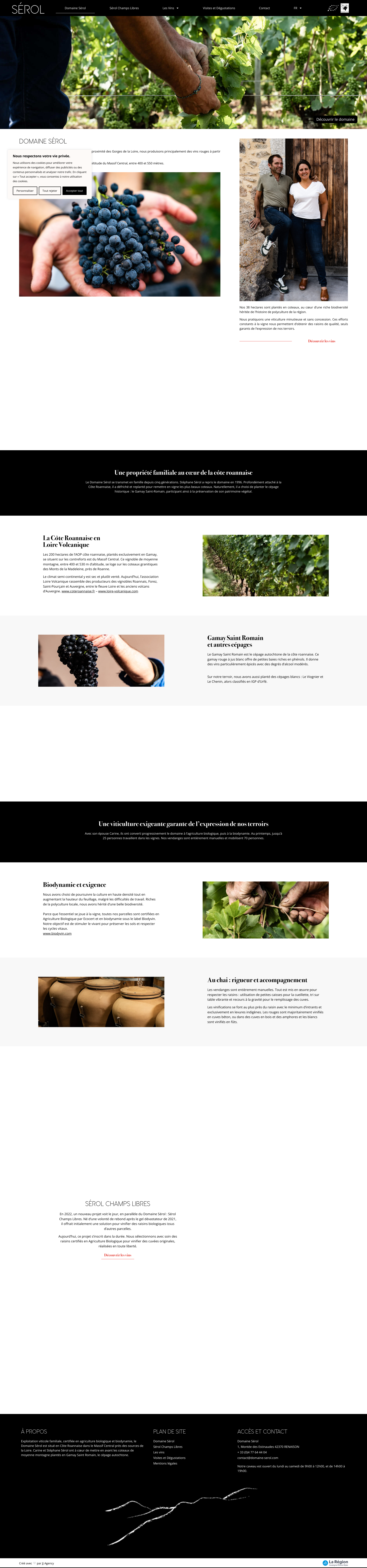Aperçu du site
