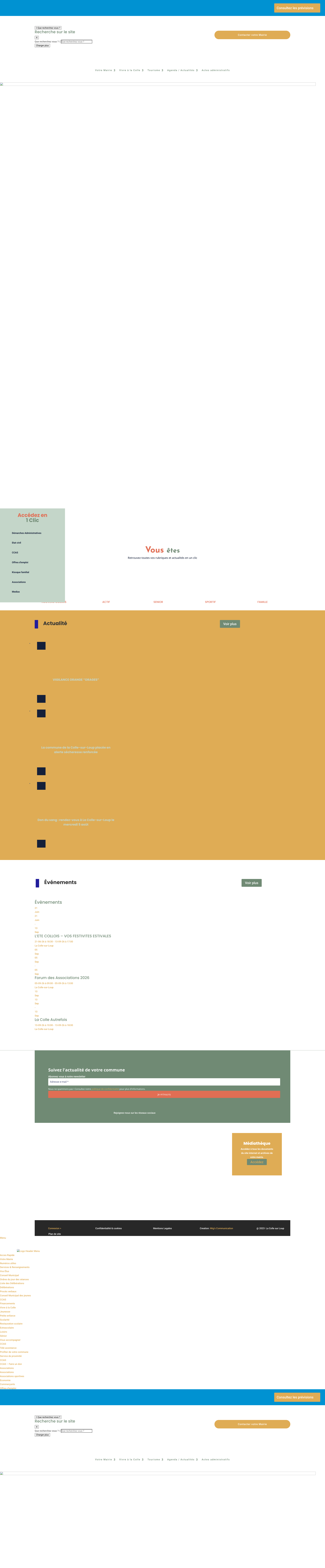 Aperçu du site