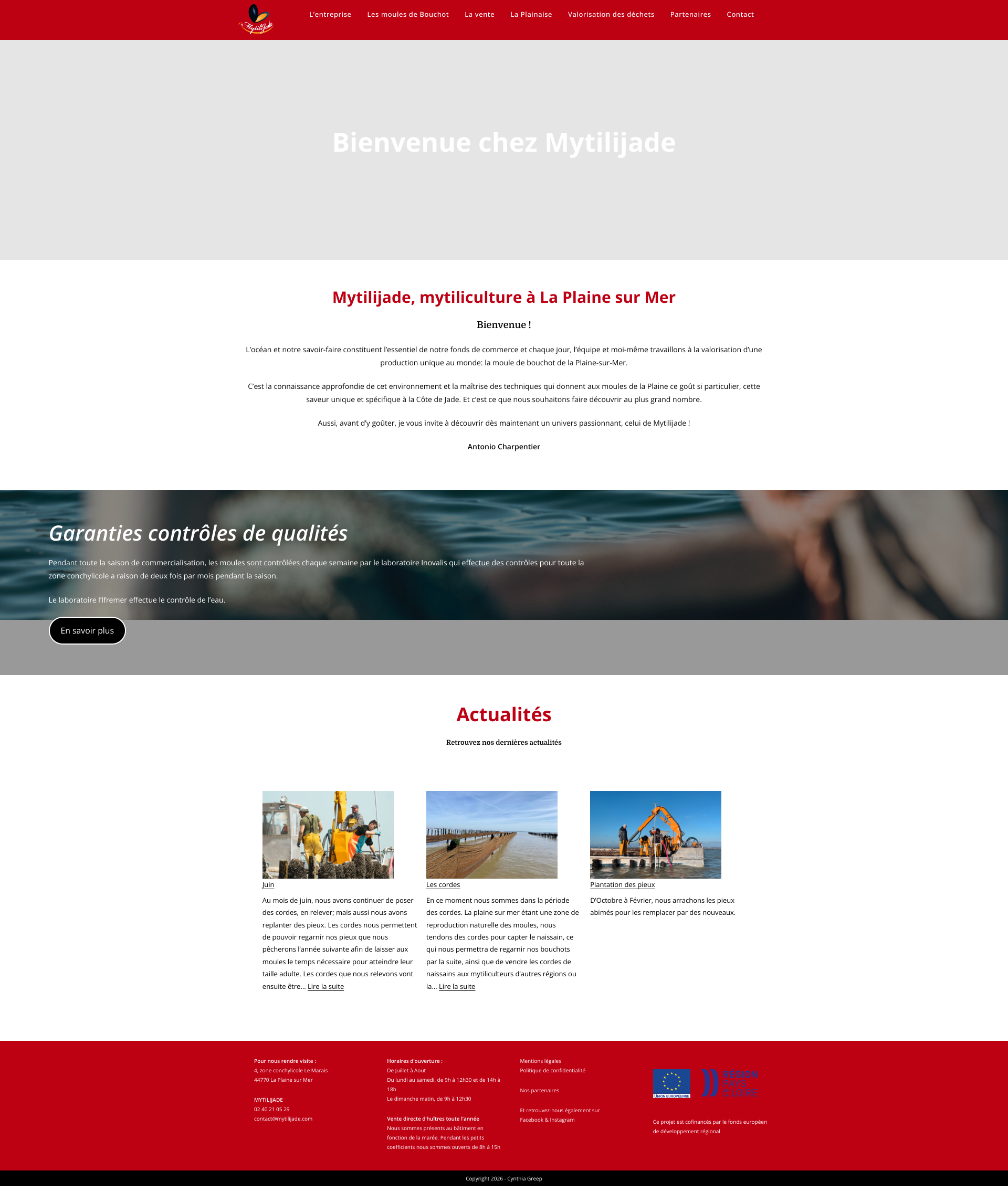 Aperçu du site