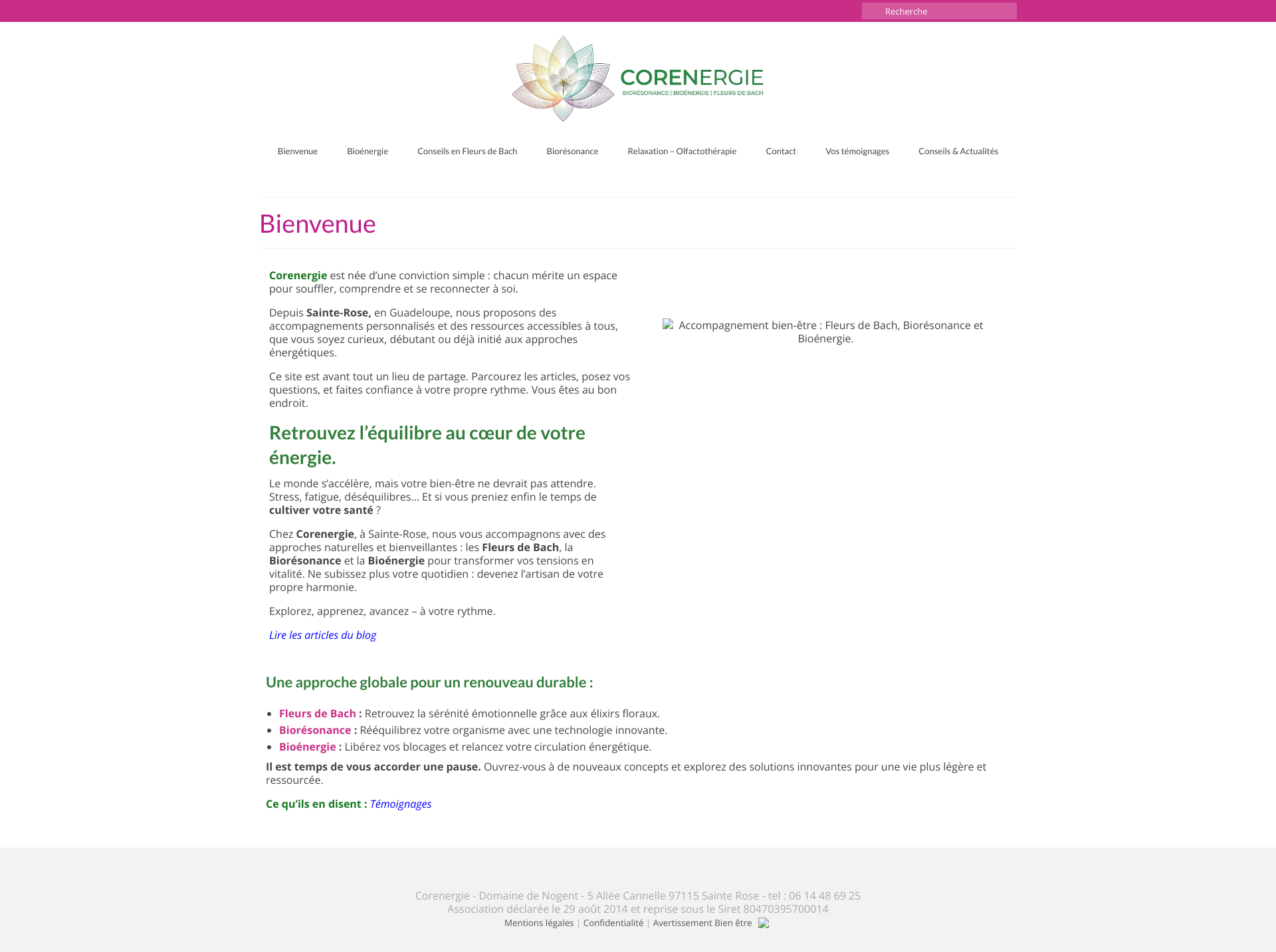 Aperçu du site