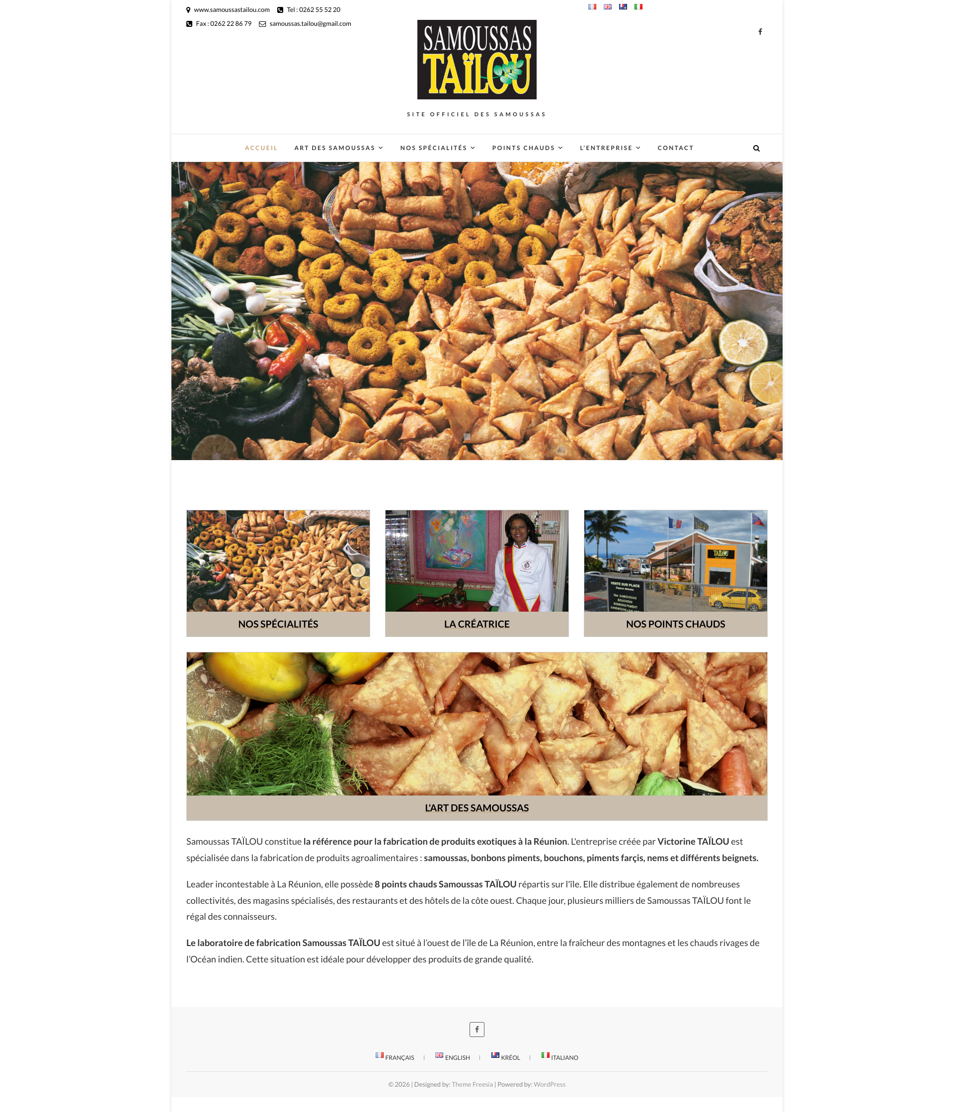 Aperçu du site