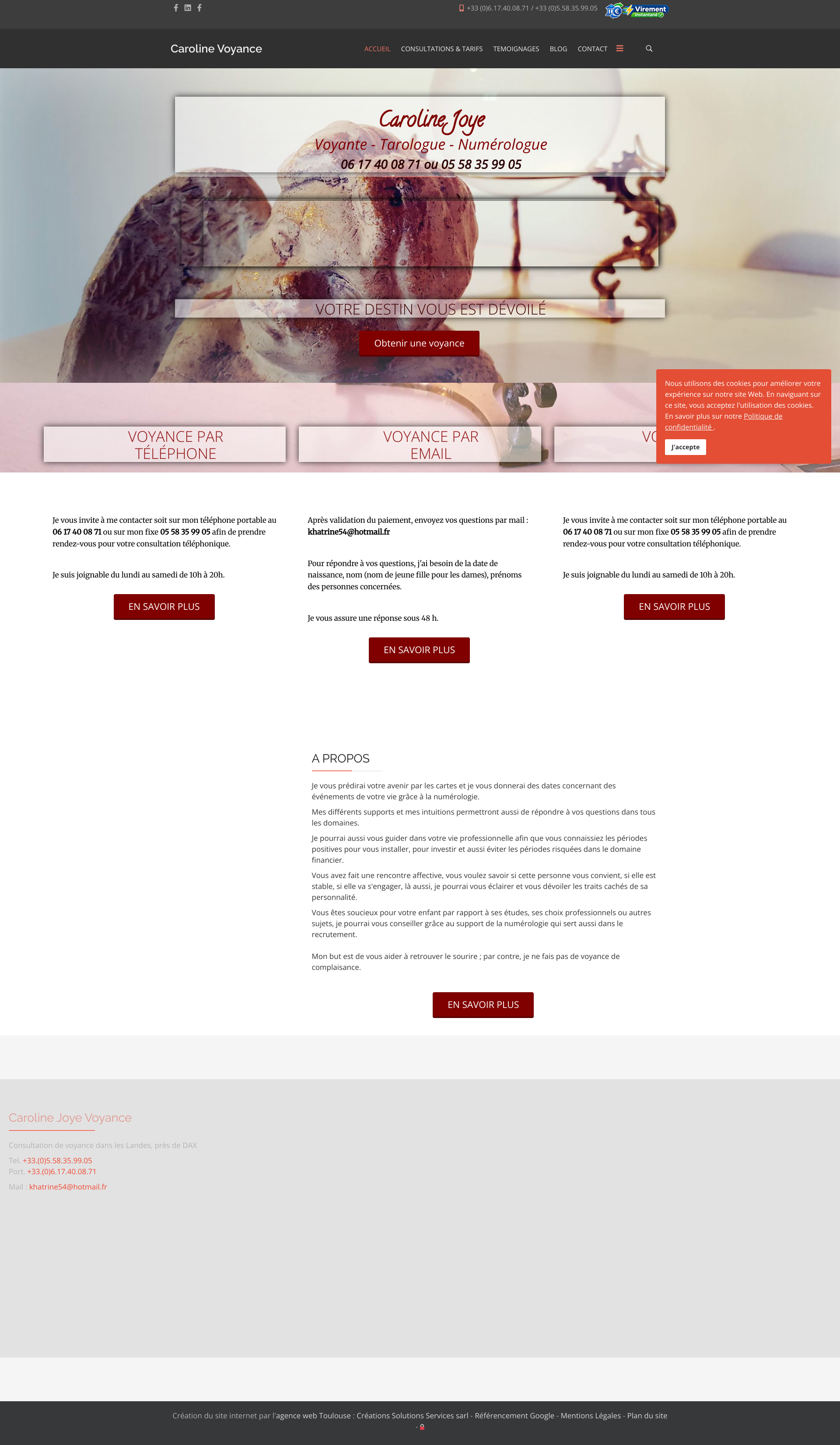 Aperçu du site